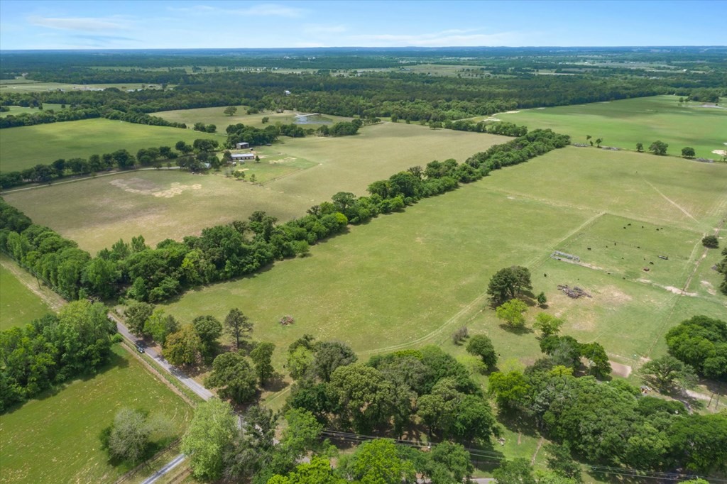 Tbd Vz County Road 4412 Ben Wheeler TX 75754