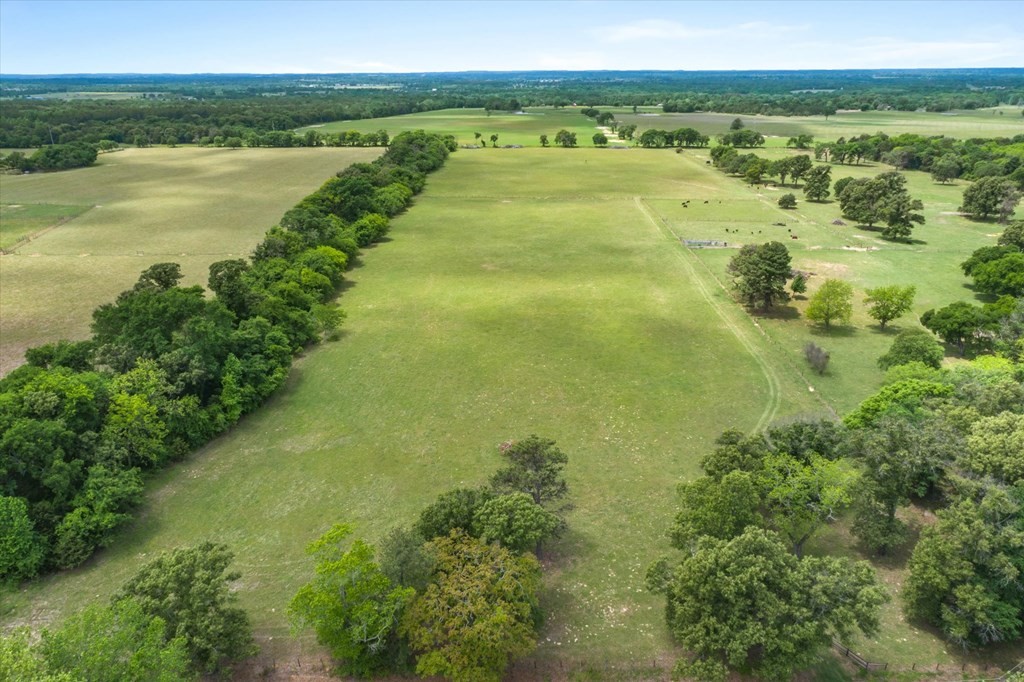 Tbd Vz County Road 4412 Ben Wheeler TX 75754