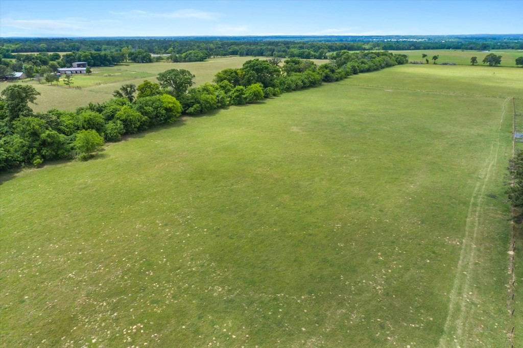 Tbd Vz County Road 4412 Ben Wheeler TX 75754