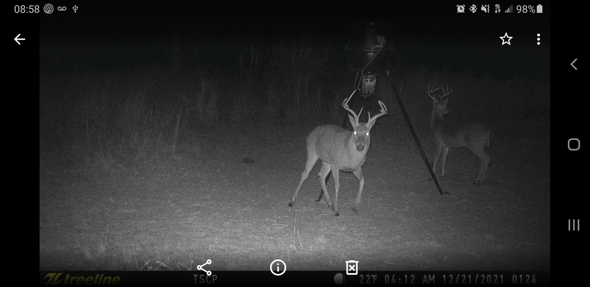 Tbd County Road 226 Rising Star TX 76471