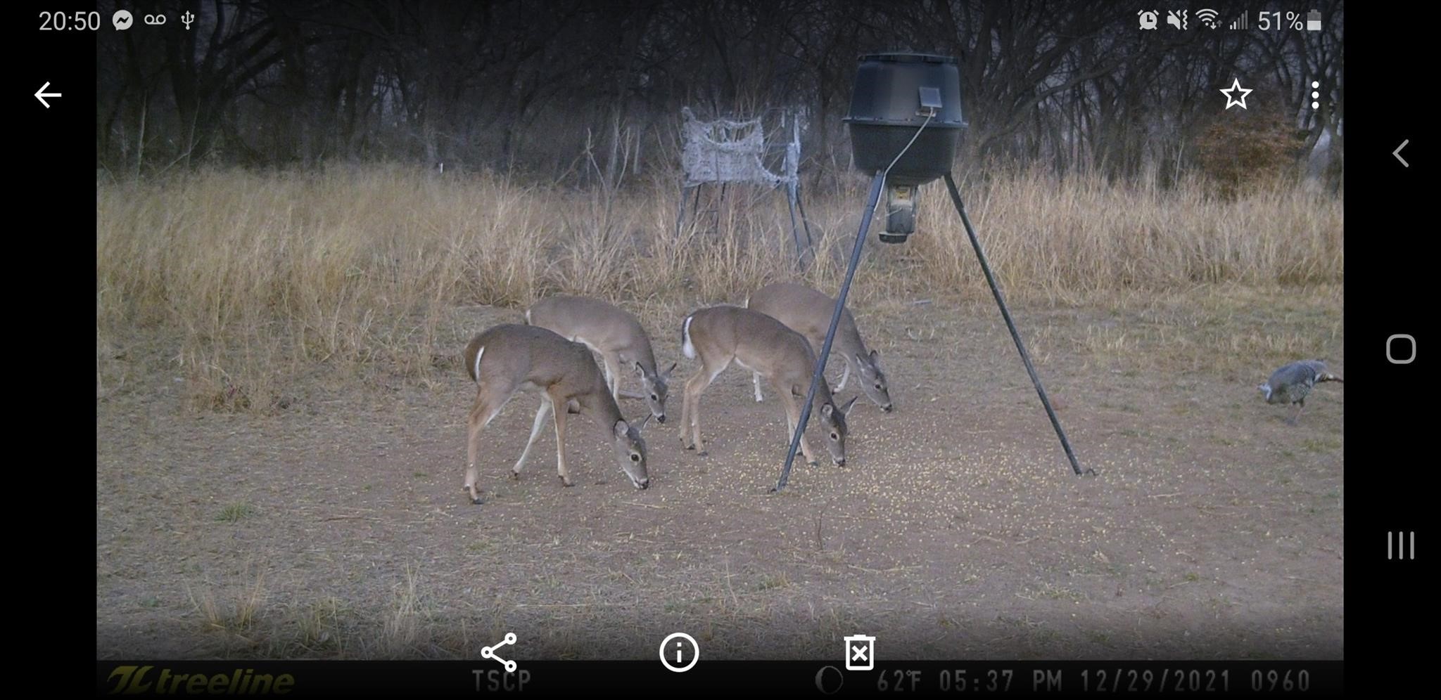 Tbd County Road 226 Rising Star TX 76471