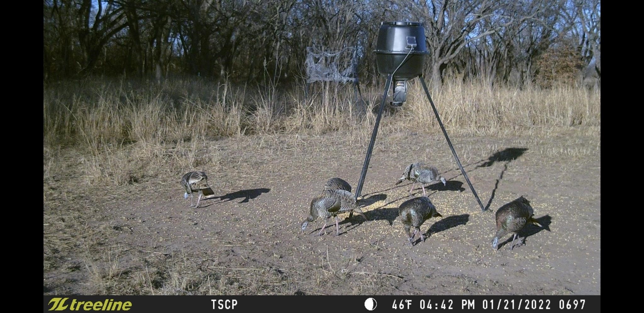 Tbd County Road 226 Rising Star TX 76471