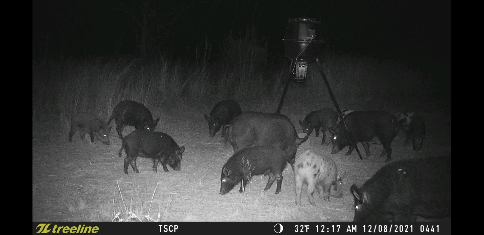 Tbd County Road 226 Rising Star TX 76471