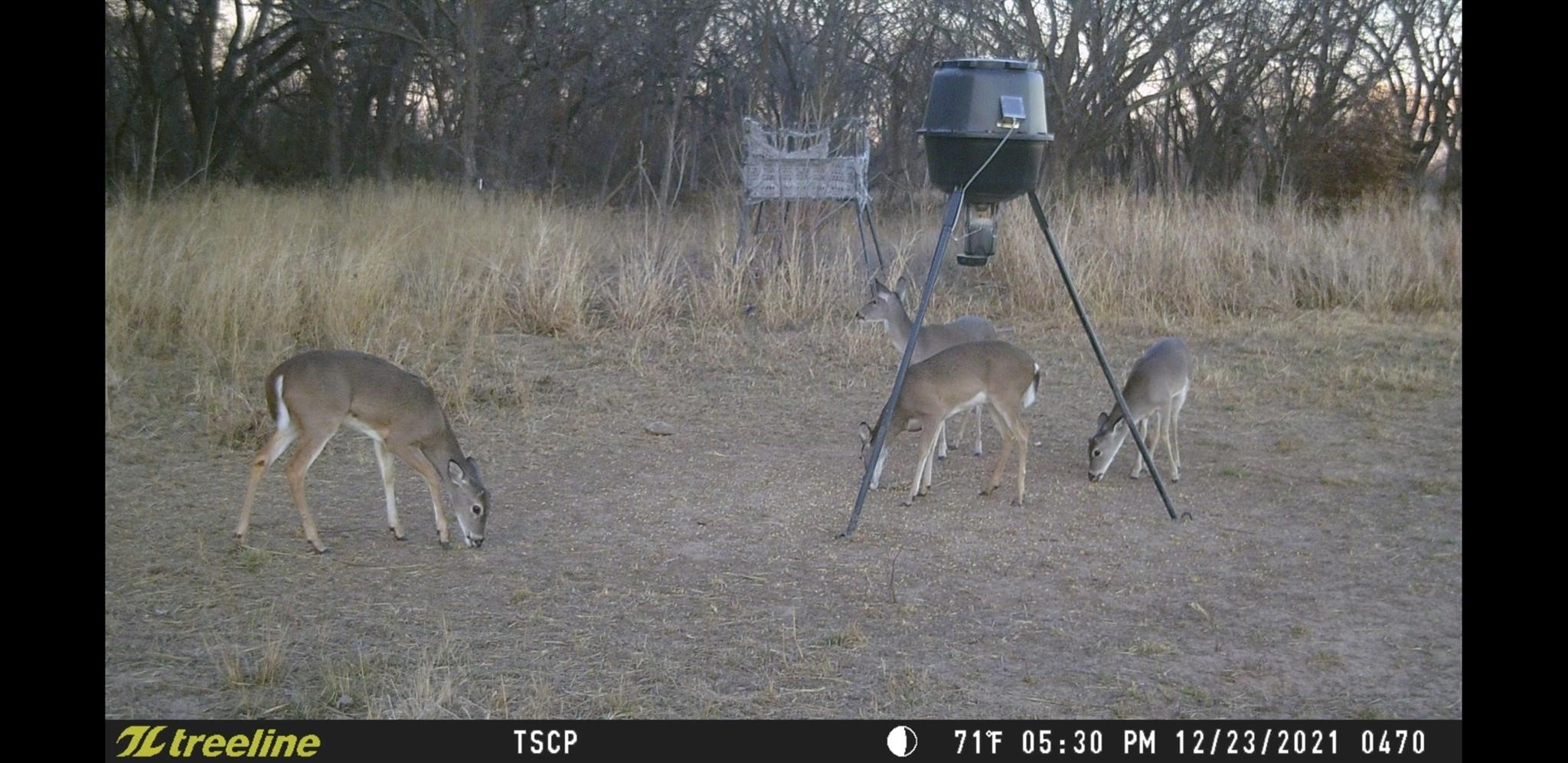 Tbd County Road 226 Rising Star TX 76471