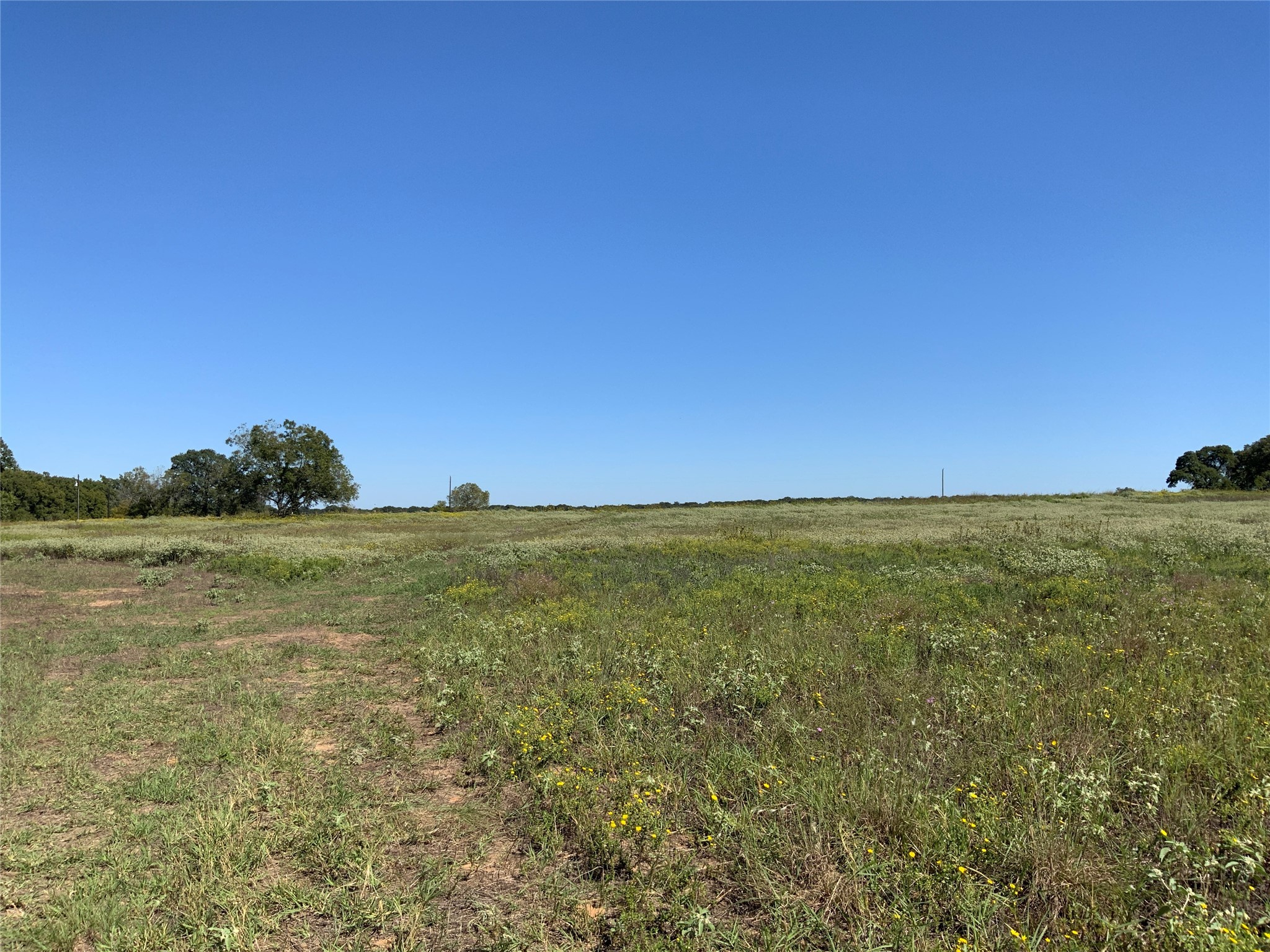 Tbd County Road 226 Rising Star TX 76471