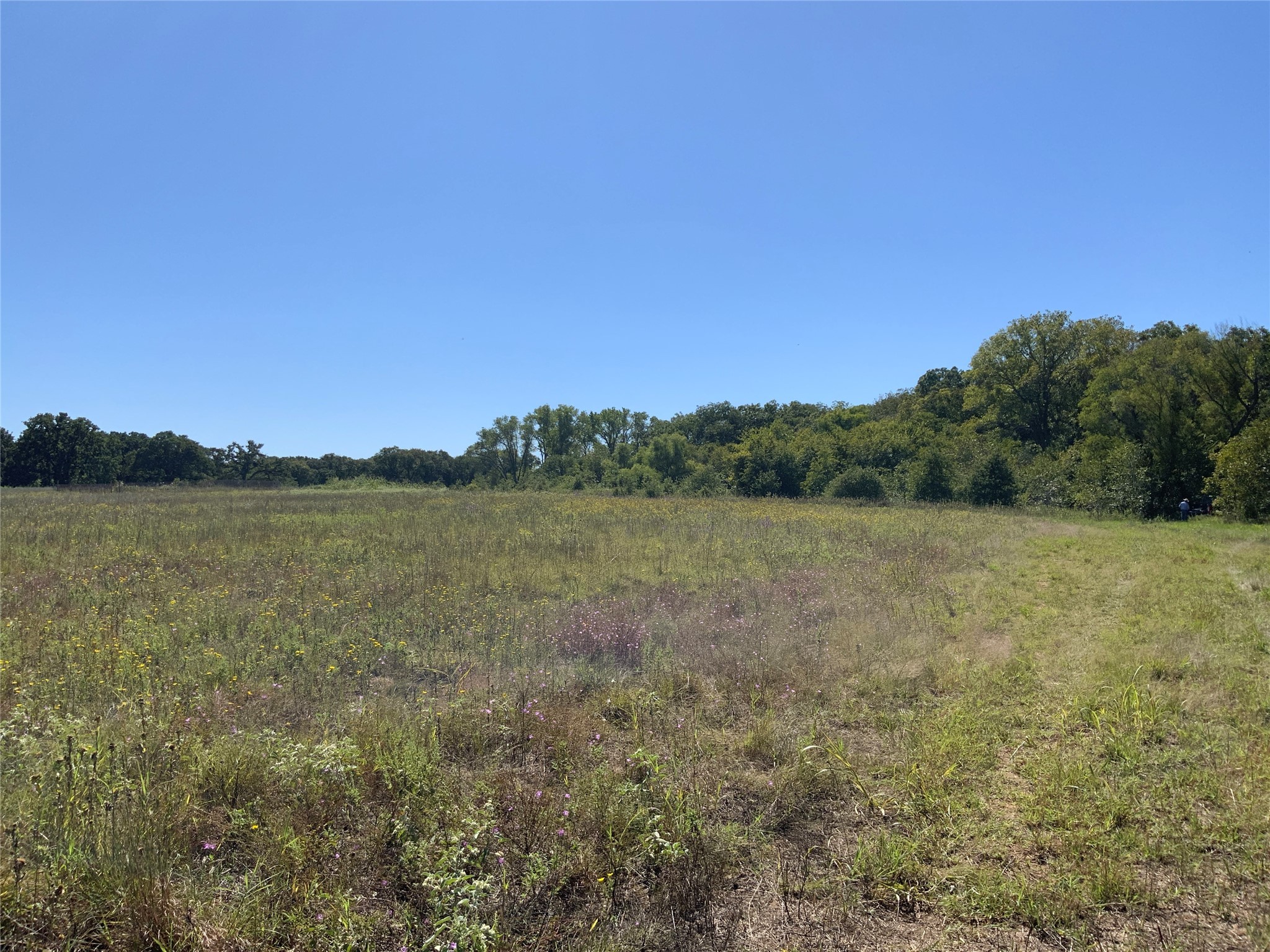 Tbd County Road 226 Rising Star TX 76471