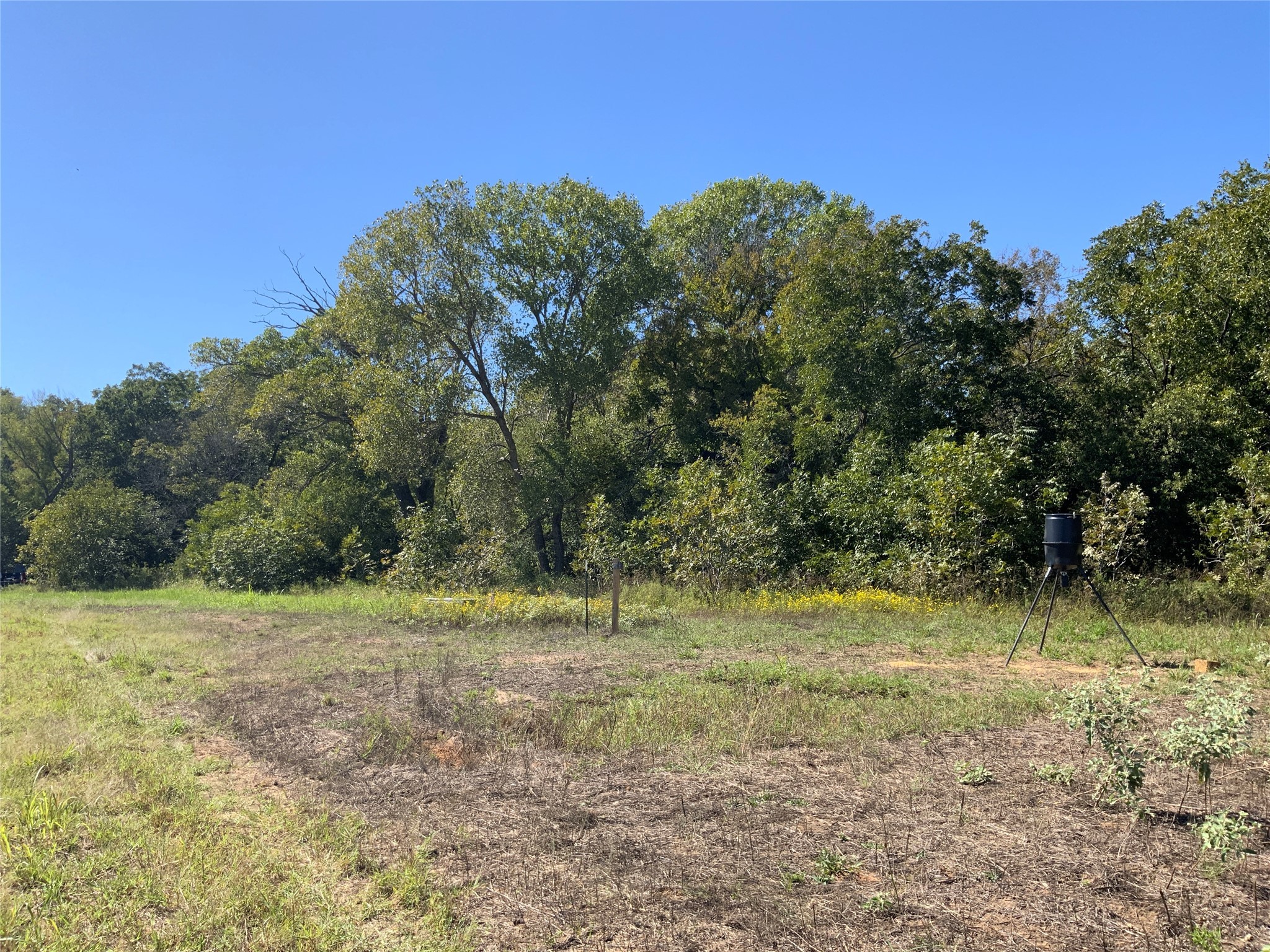 Tbd County Road 226 Rising Star TX 76471