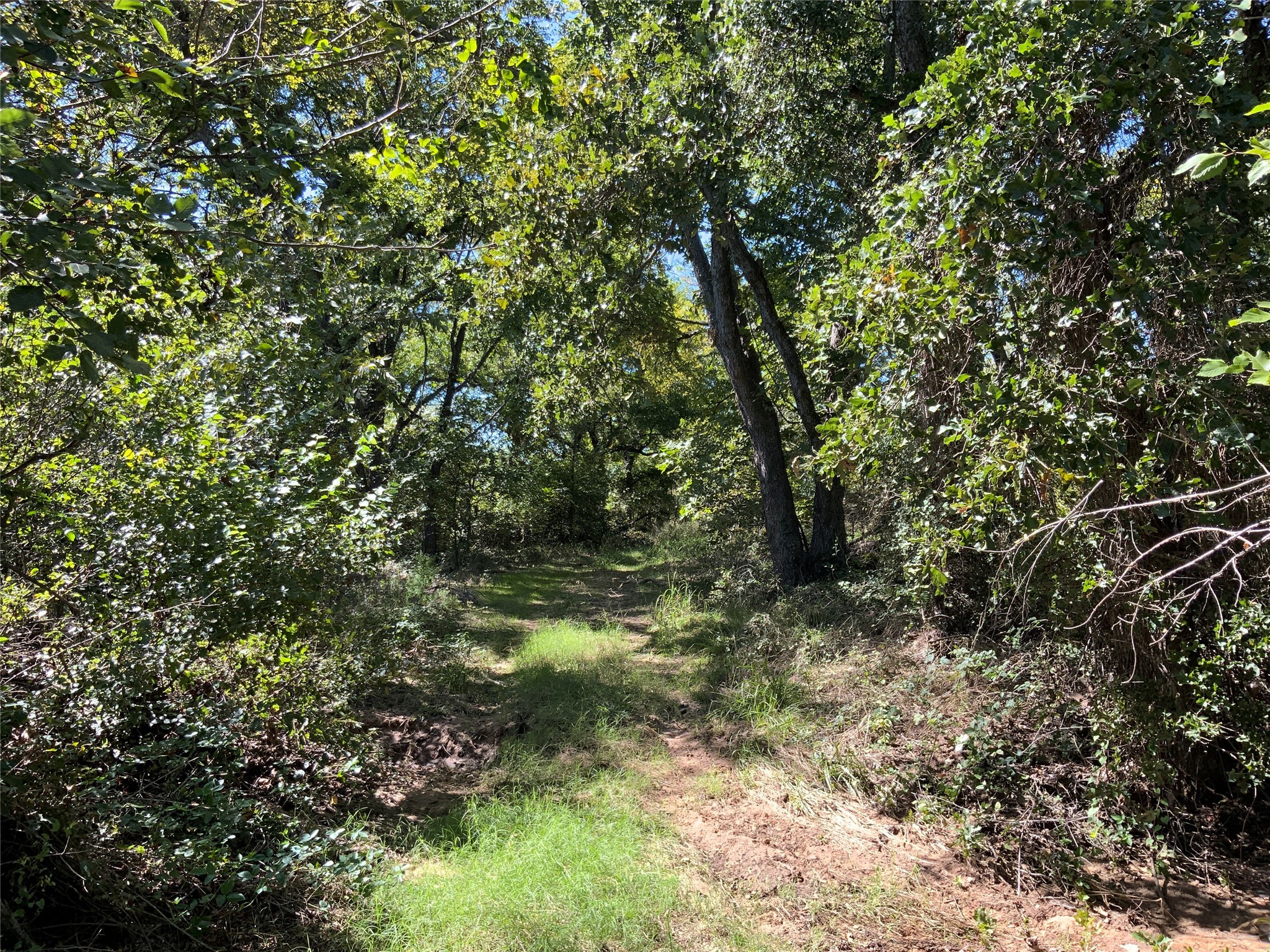 Tbd County Road 226 Rising Star TX 76471