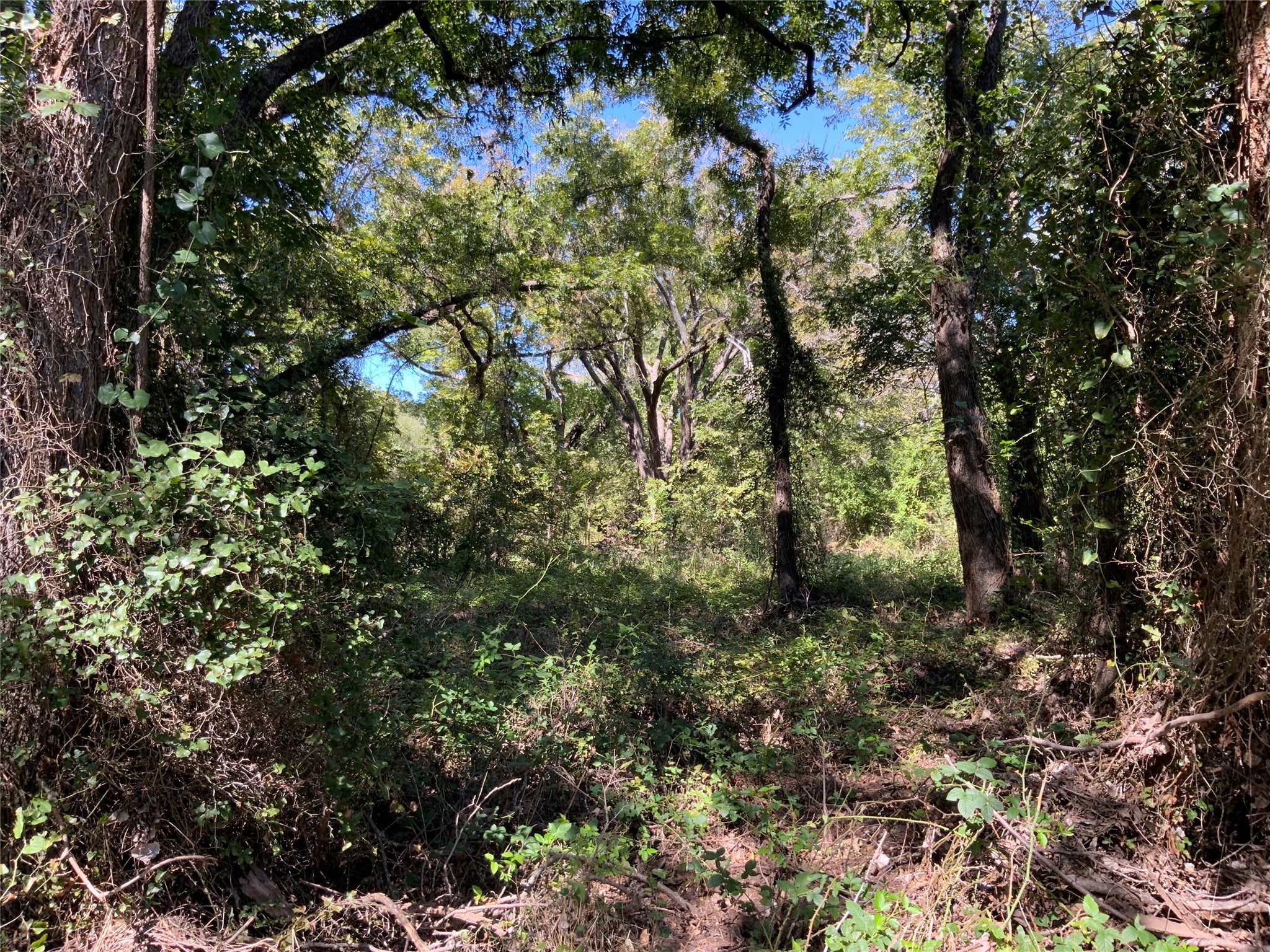 Tbd County Road 226 Rising Star TX 76471