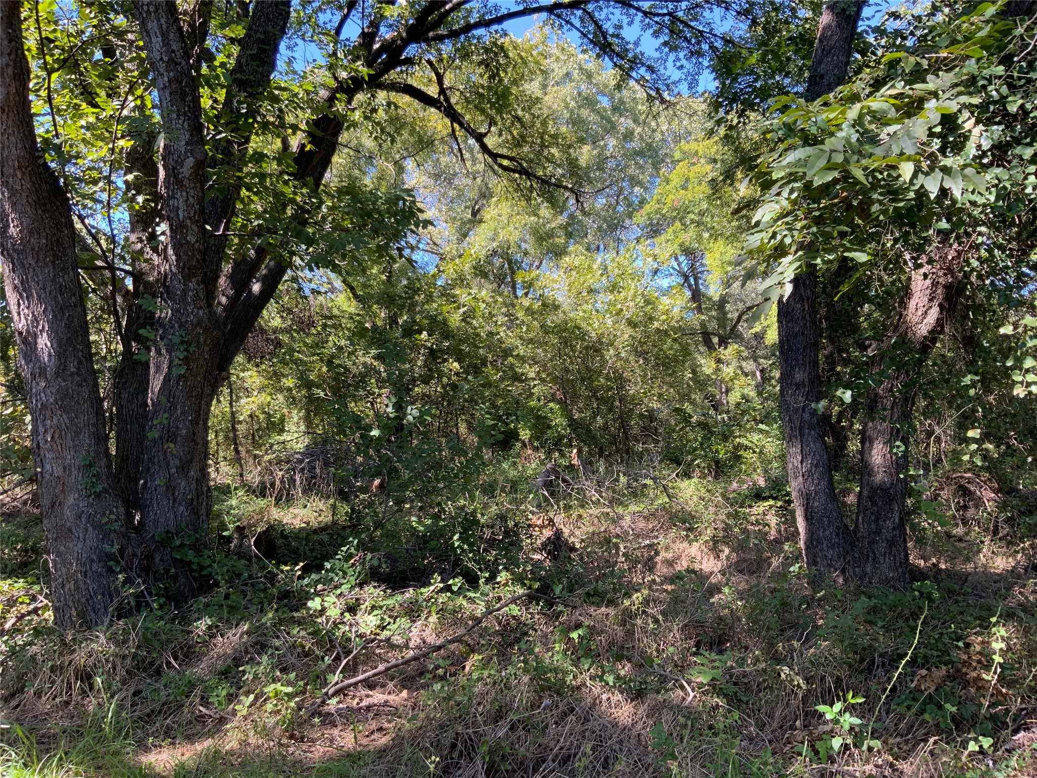 Tbd County Road 226 Rising Star TX 76471