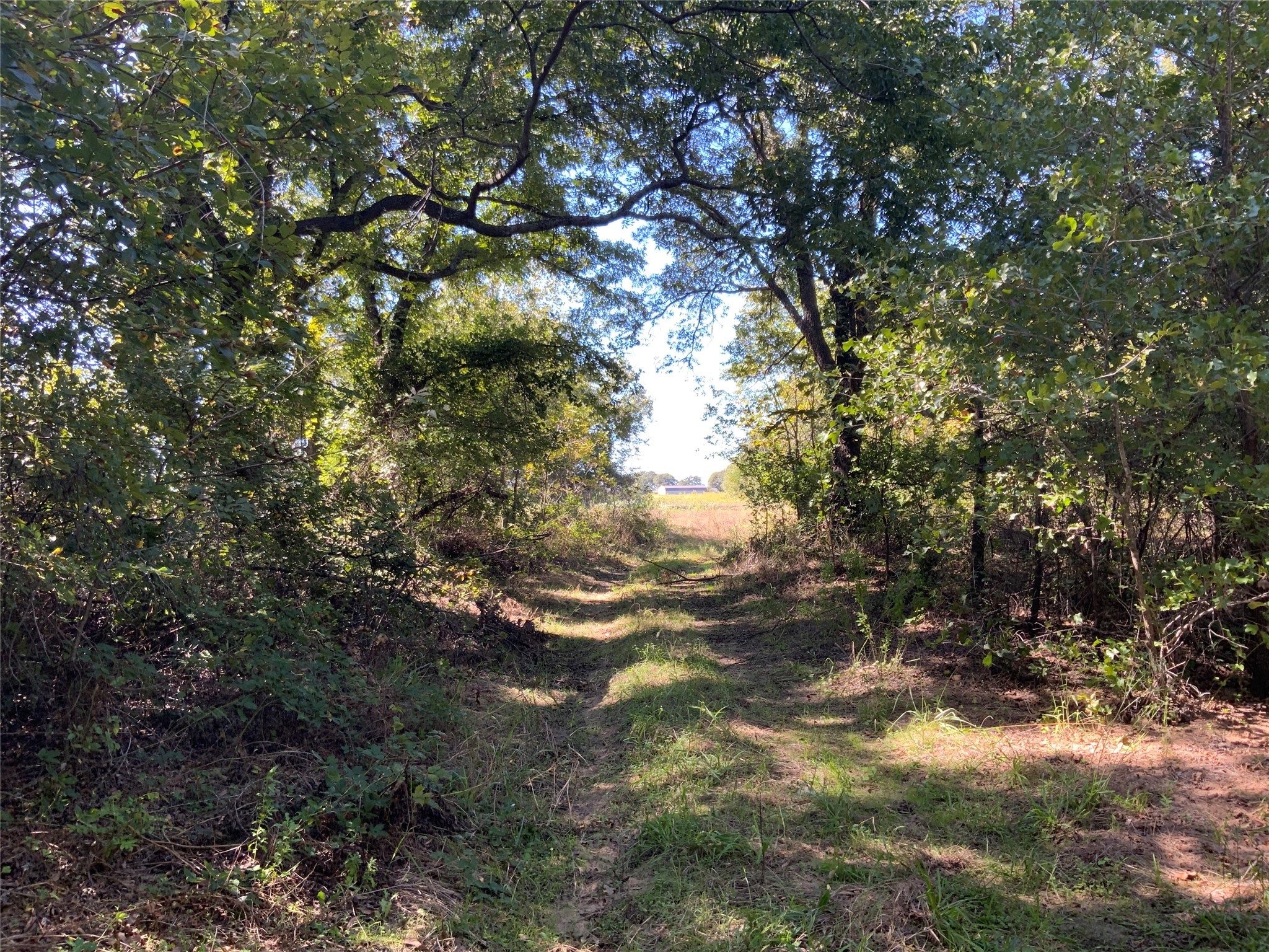 Tbd County Road 226 Rising Star TX 76471