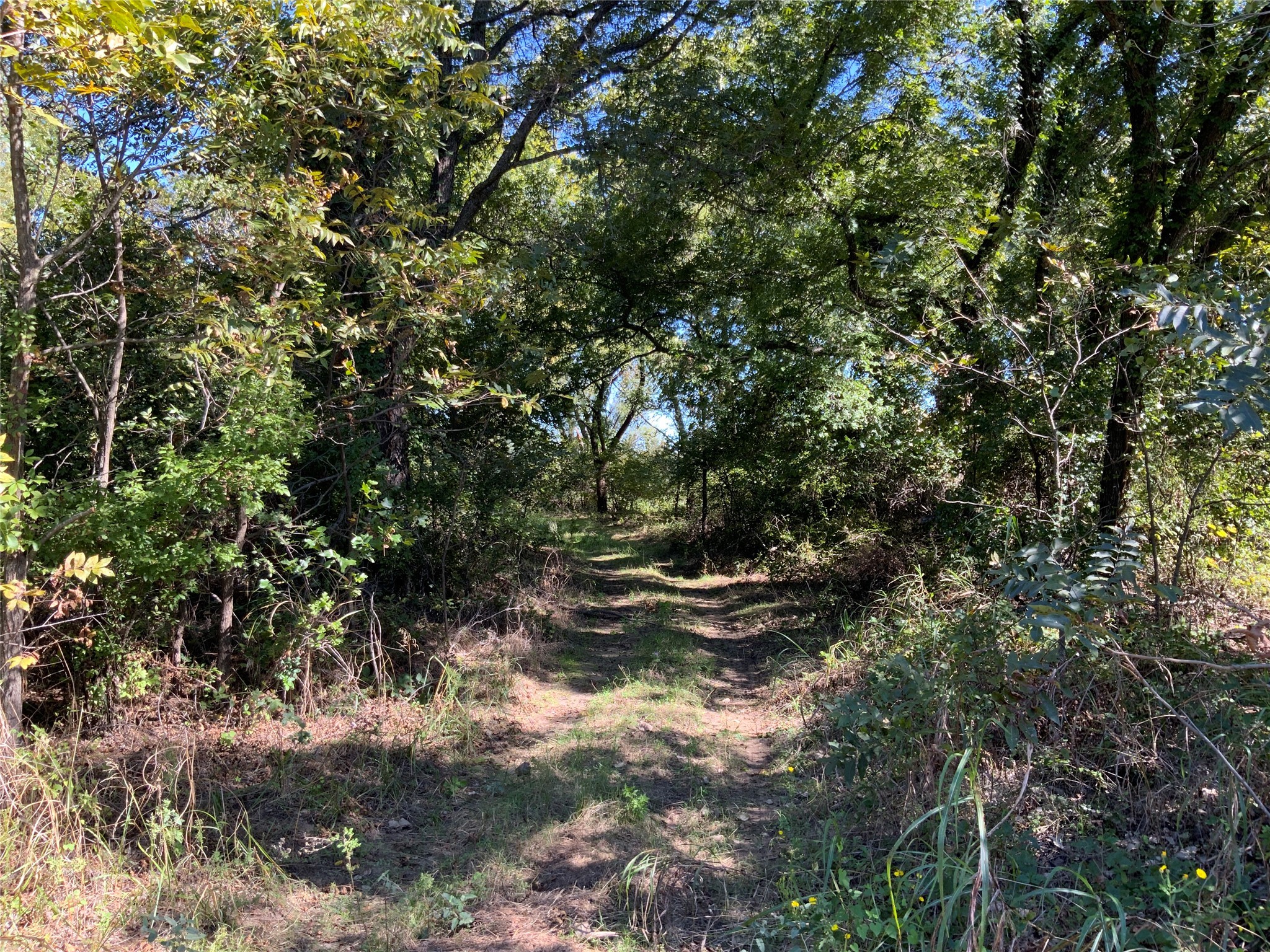 Tbd County Road 226 Rising Star TX 76471