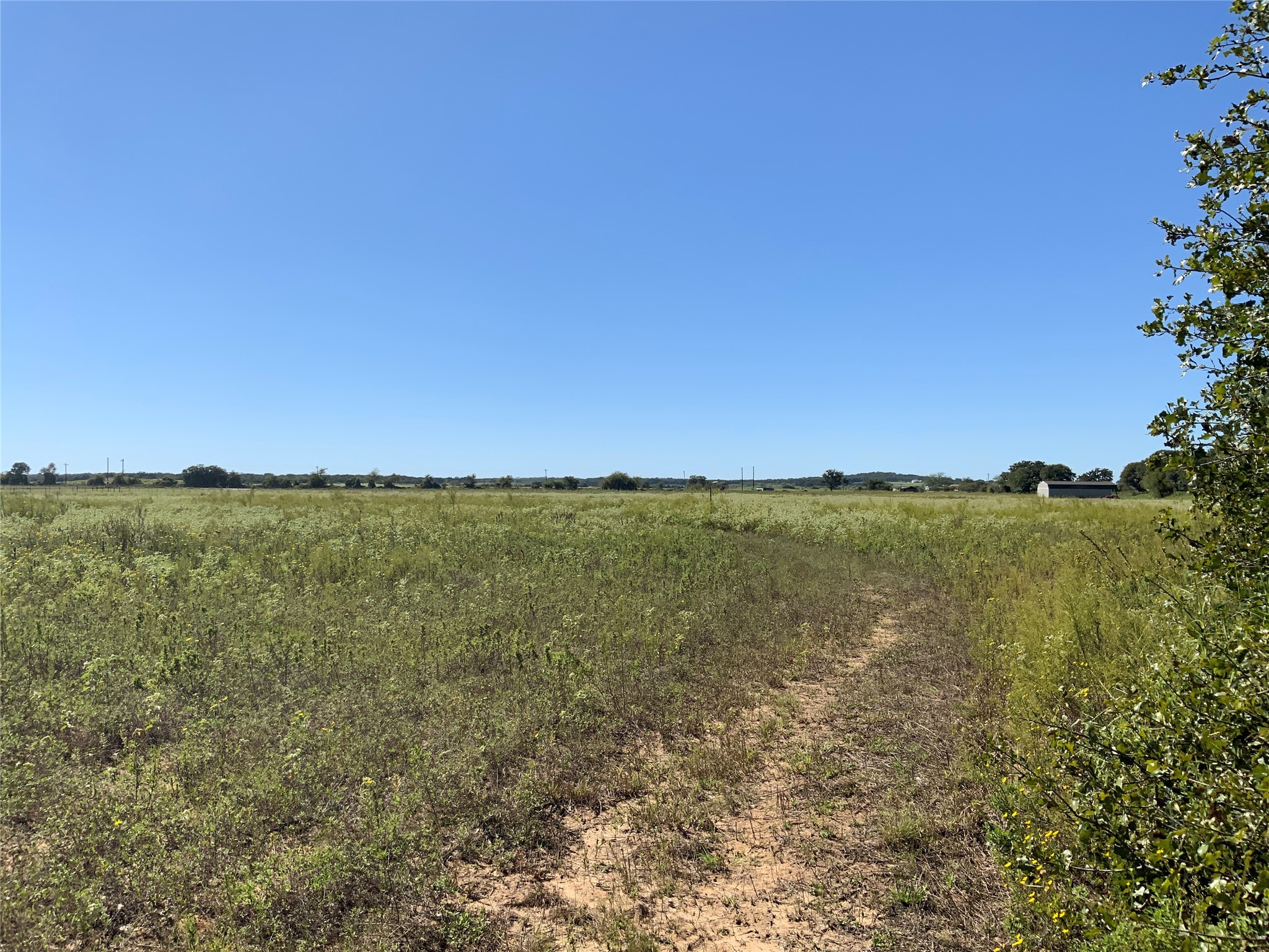 Tbd County Road 226 Rising Star TX 76471