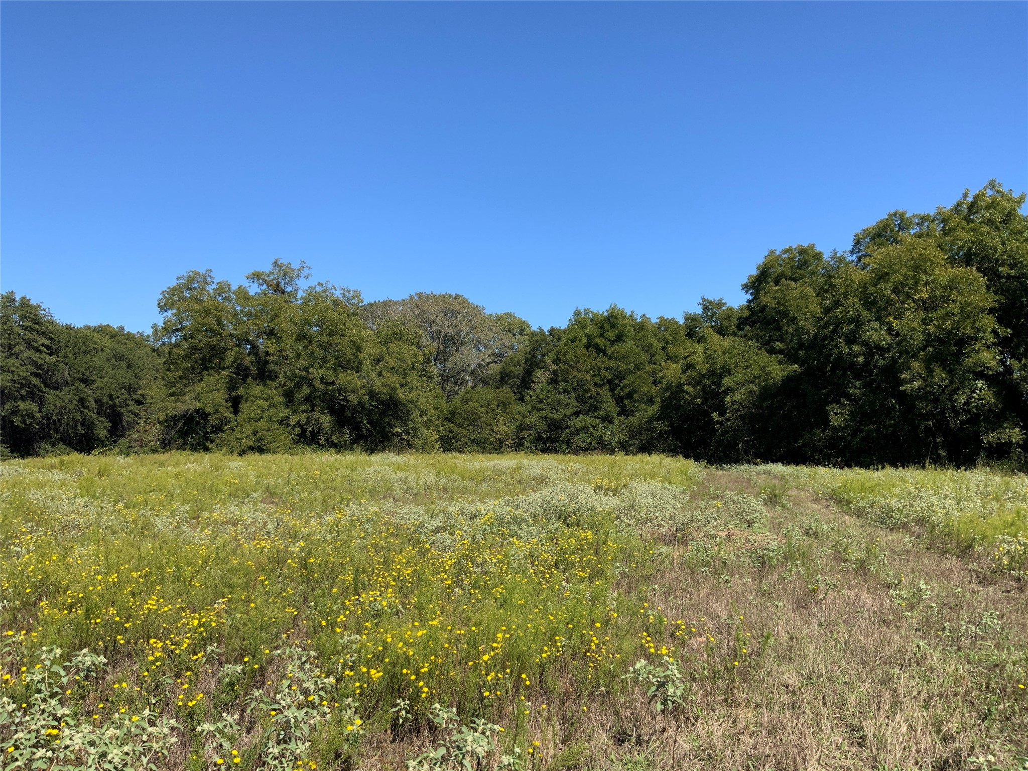 Tbd County Road 226 Rising Star TX 76471