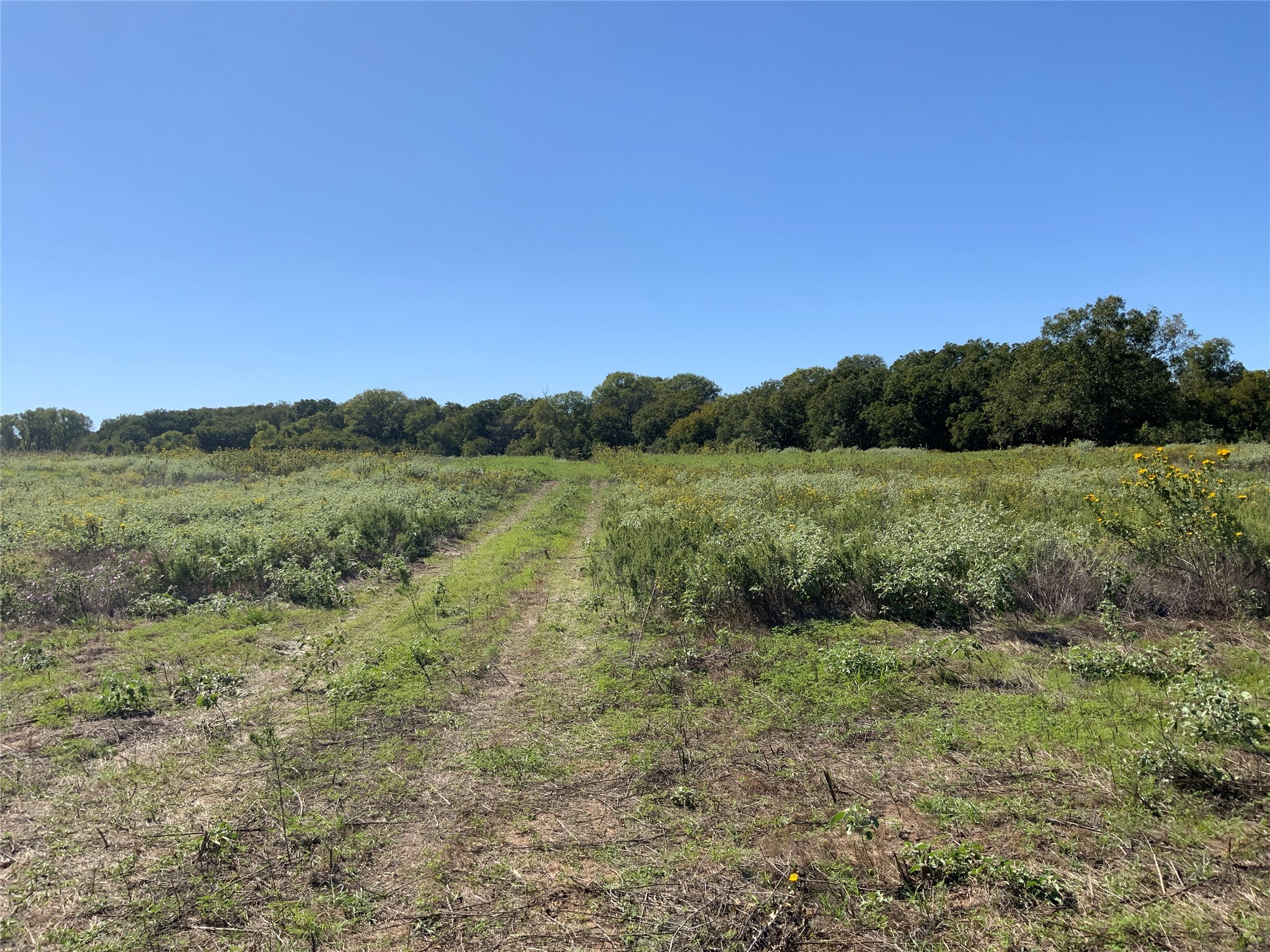 Tbd County Road 226 Rising Star TX 76471