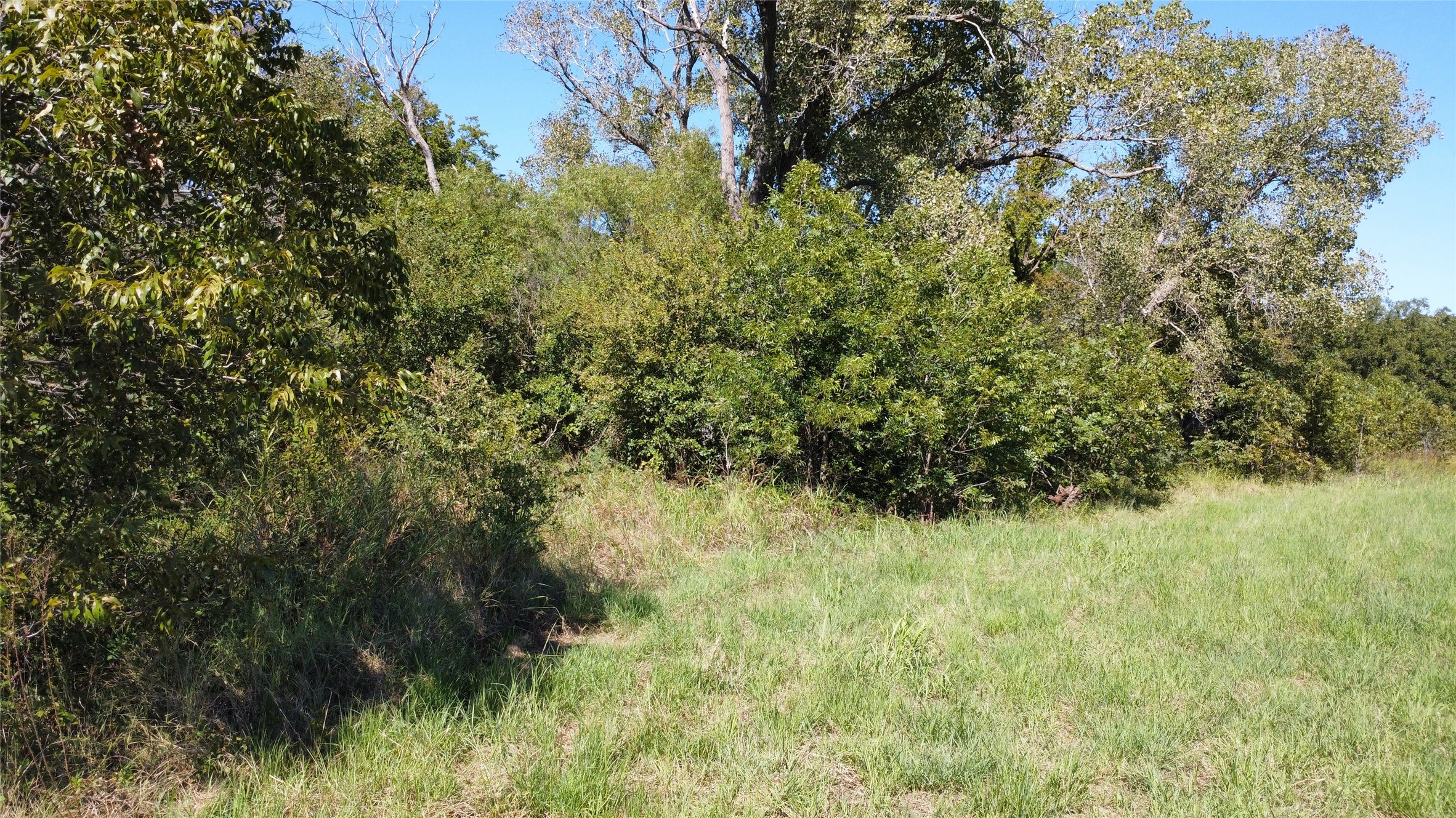 Tbd County Road 226 Rising Star TX 76471