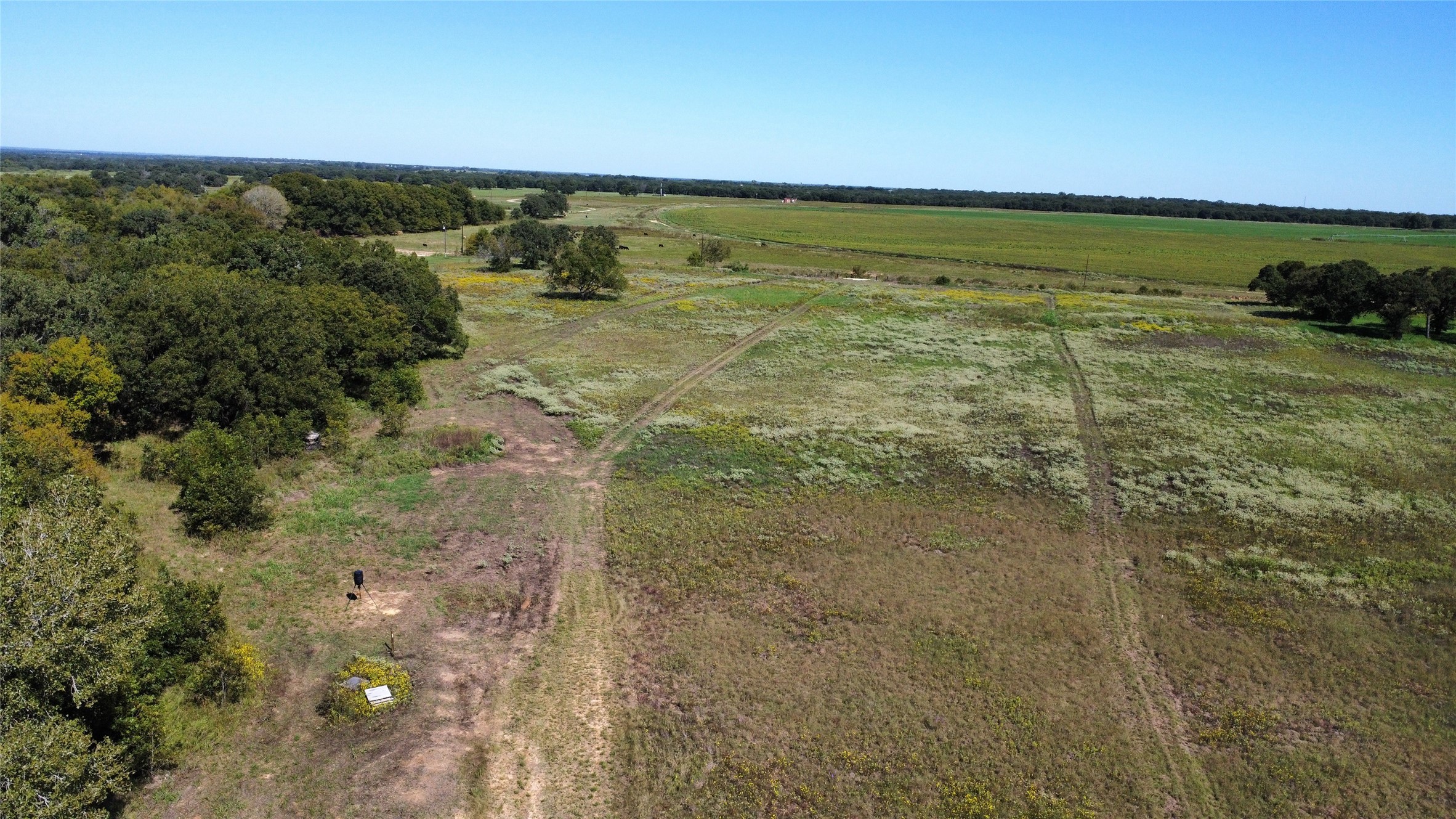 Tbd County Road 226 Rising Star TX 76471