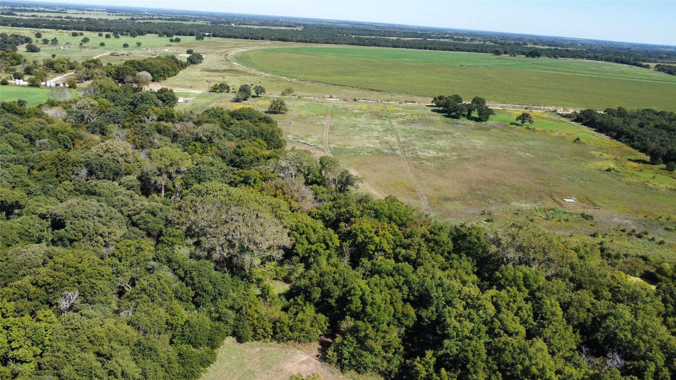 Tbd County Road 226 Rising Star TX 76471