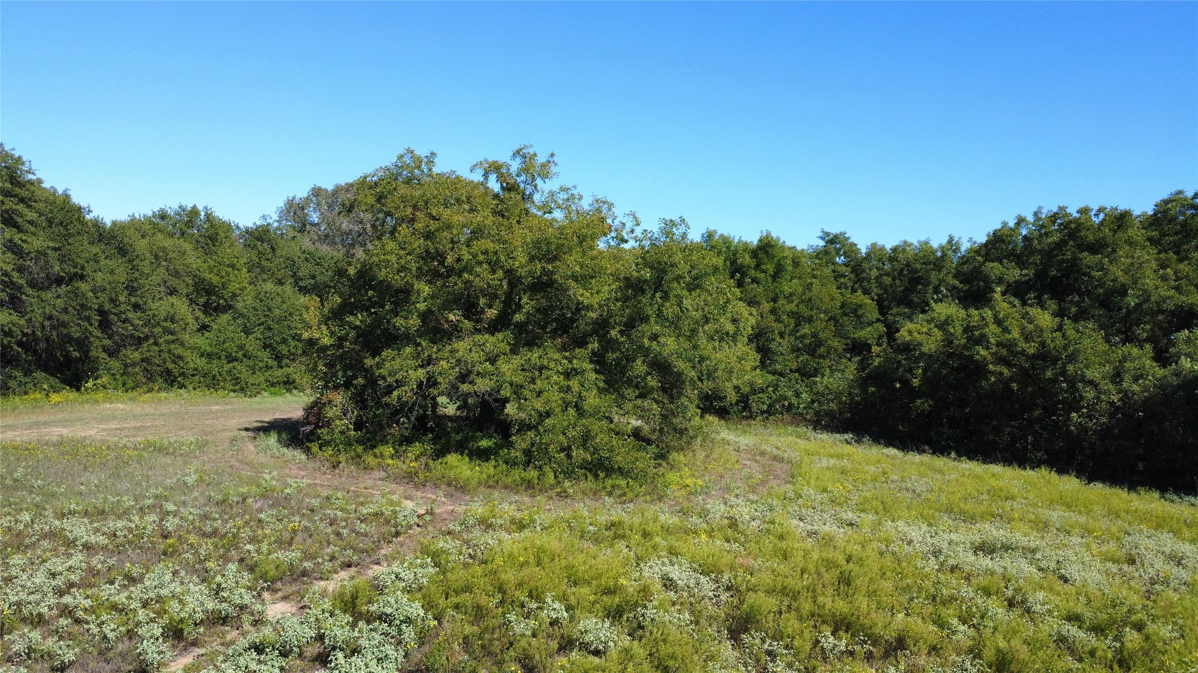 Tbd County Road 226 Rising Star TX 76471