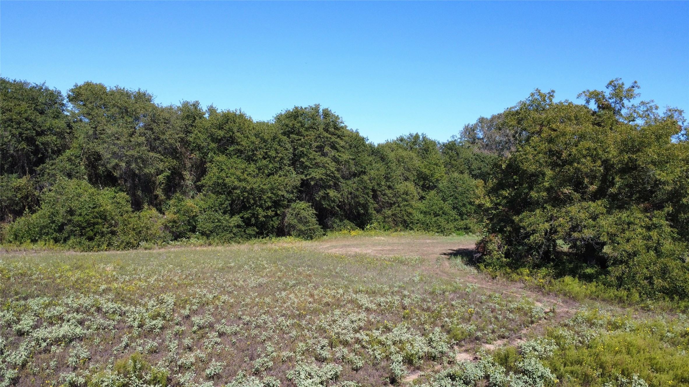 Tbd County Road 226 Rising Star TX 76471