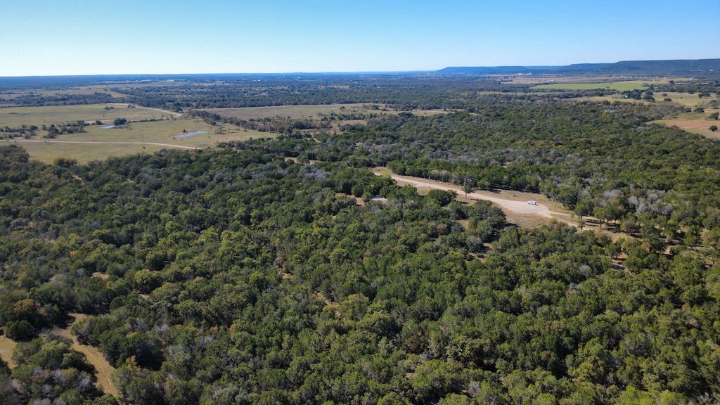170 Wooded Crest Drive Palo Pinto TX 76484