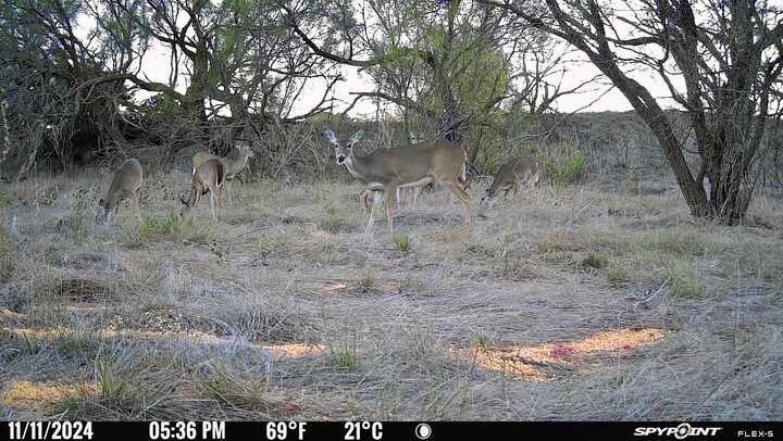 2055 County Road 472 Rochelle TX 76872