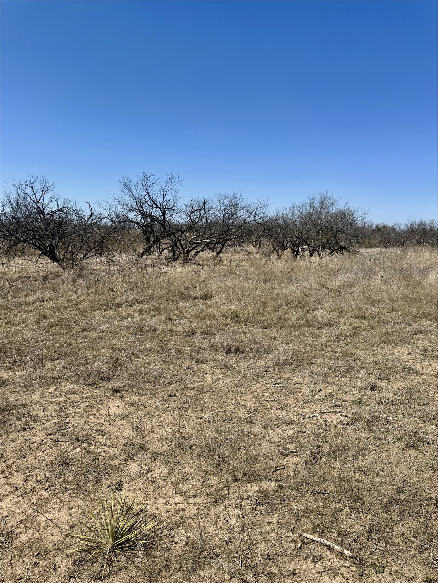 2055 County Road 472 Rochelle TX 76872