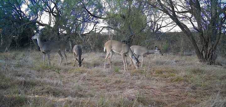 2055 County Road 472 Rochelle TX 76872