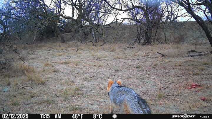 2055 County Road 472 Rochelle TX 76872