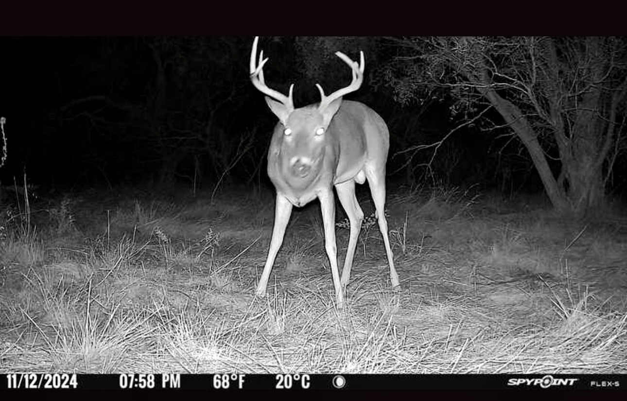 2055 County Road 472 Rochelle TX 76872