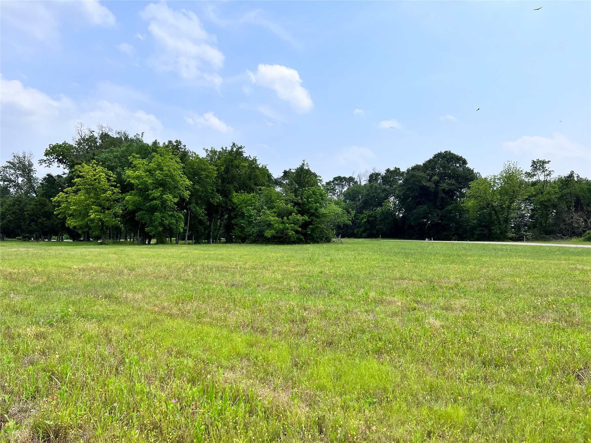 Lot 26 Clubhouse Drive Corsicana TX 75109