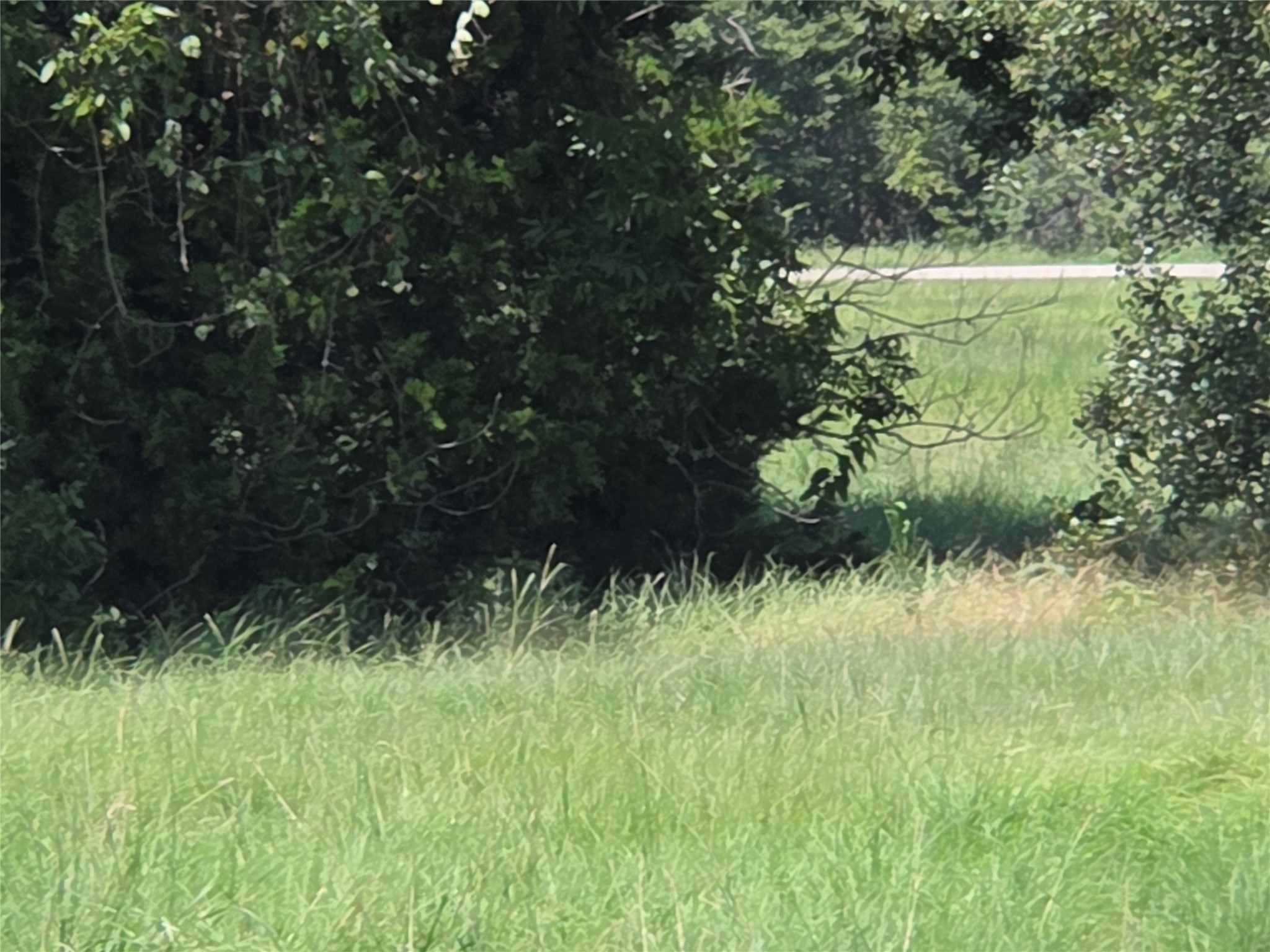 Lot 26 Clubhouse Drive Corsicana TX 75109