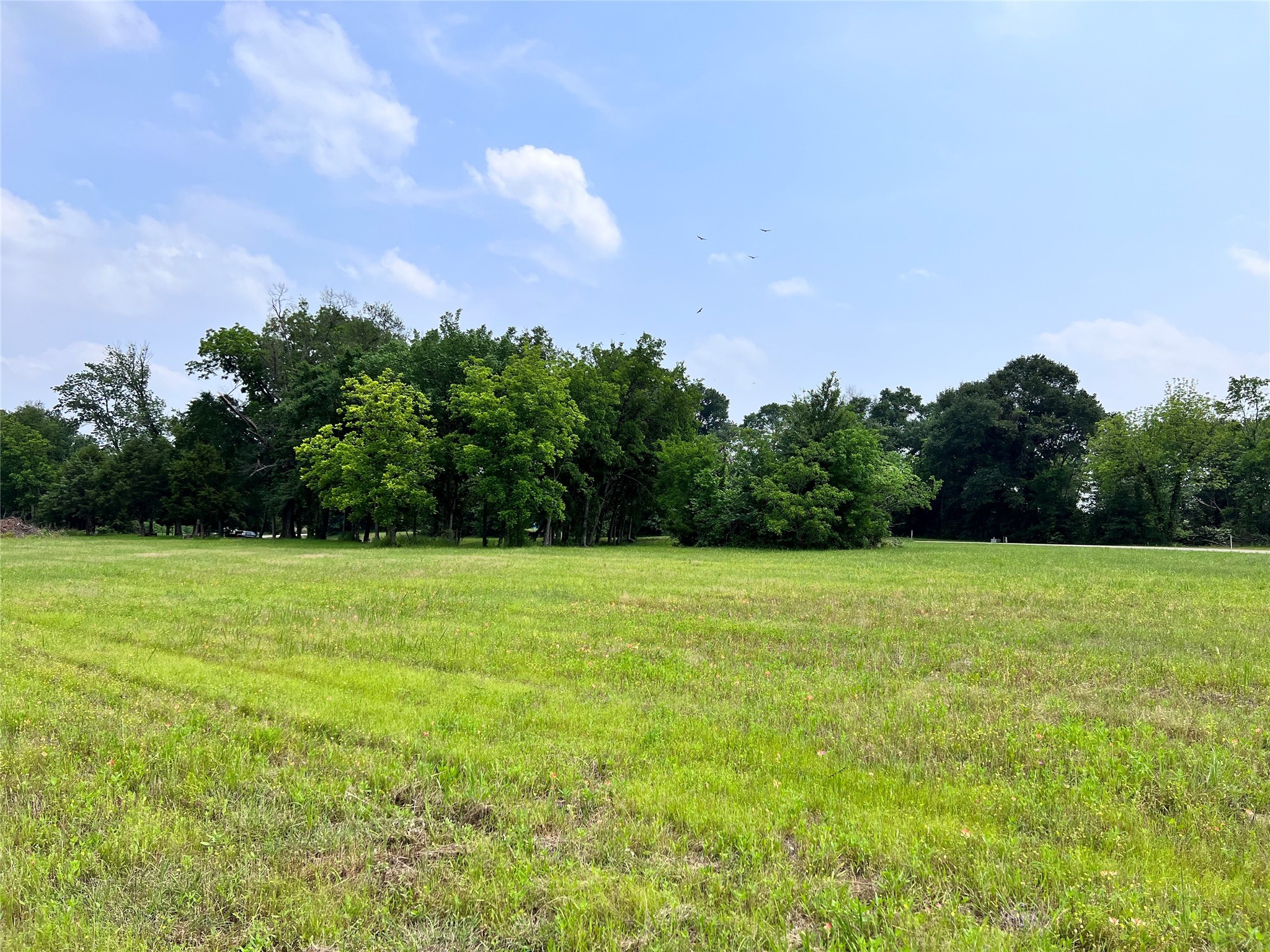 Lot 26 Clubhouse Drive Corsicana TX 75109