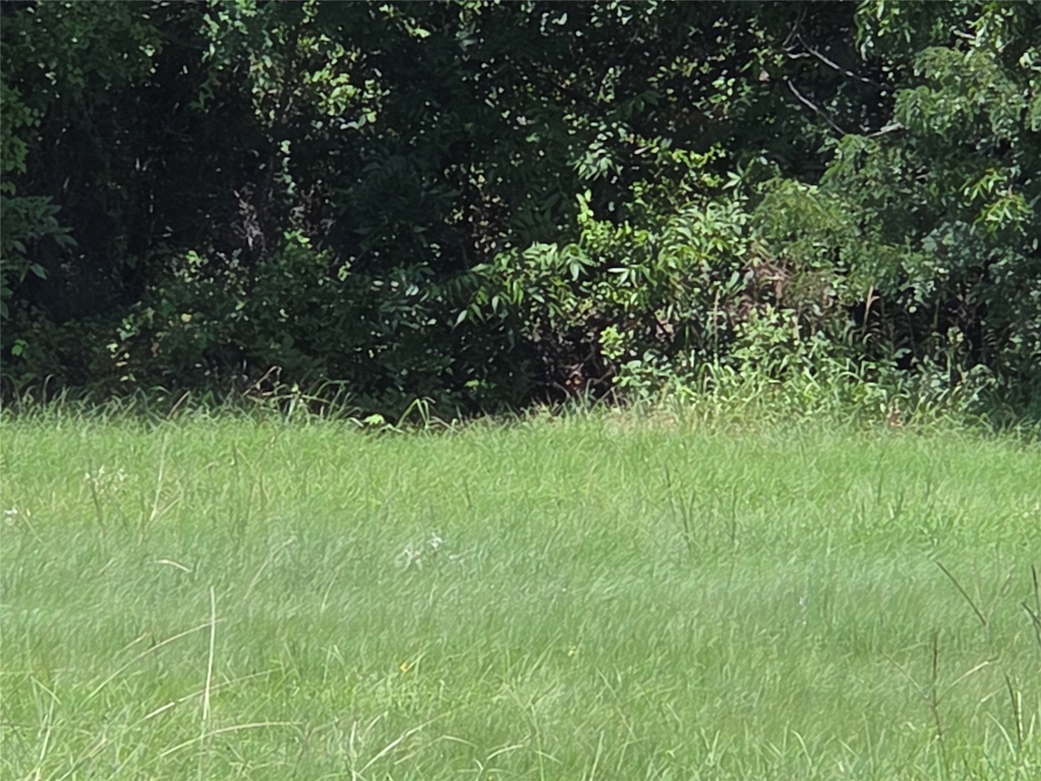 Lot 26 Clubhouse Drive Corsicana TX 75109