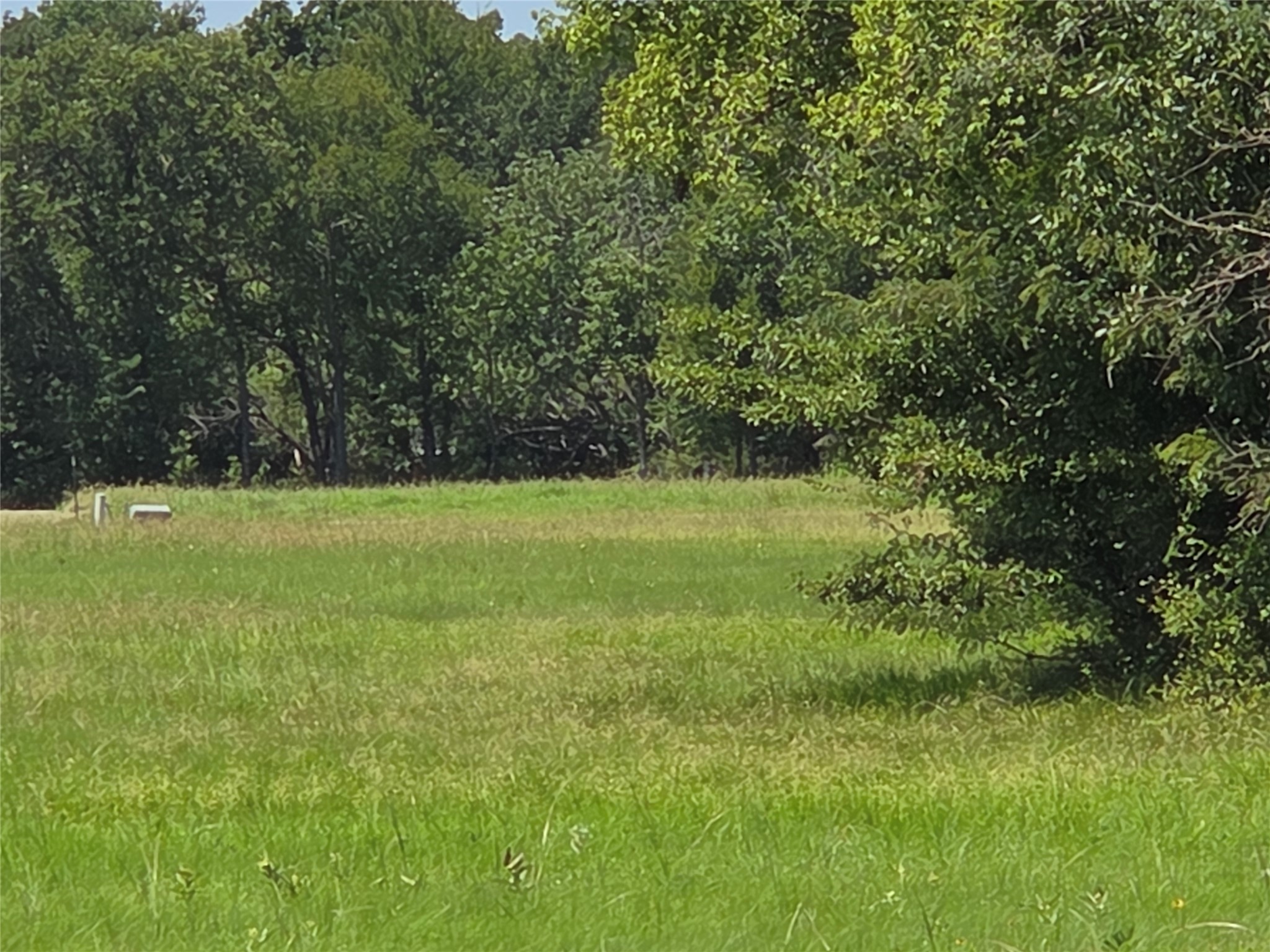 Lot 26 Clubhouse Drive Corsicana TX 75109