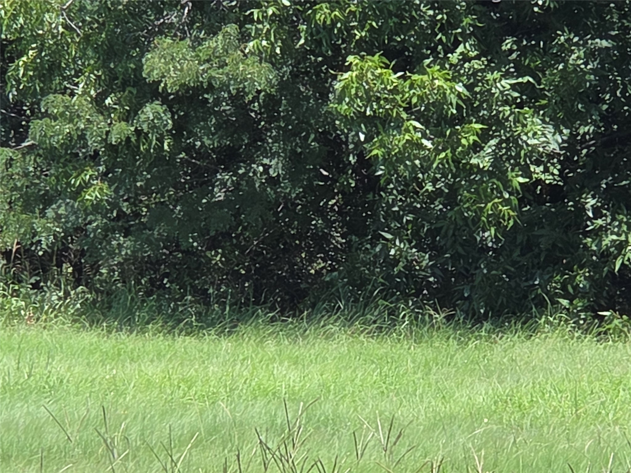 Lot 26 Clubhouse Drive Corsicana TX 75109