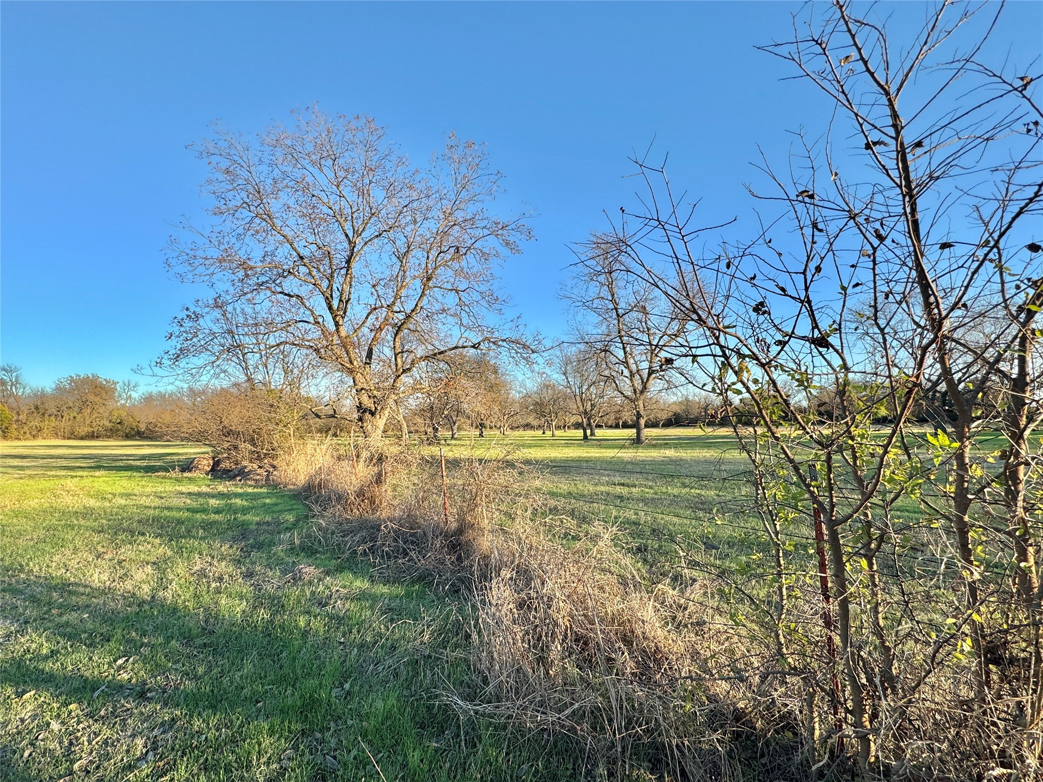 738 Cole Street Gainesville TX 76240