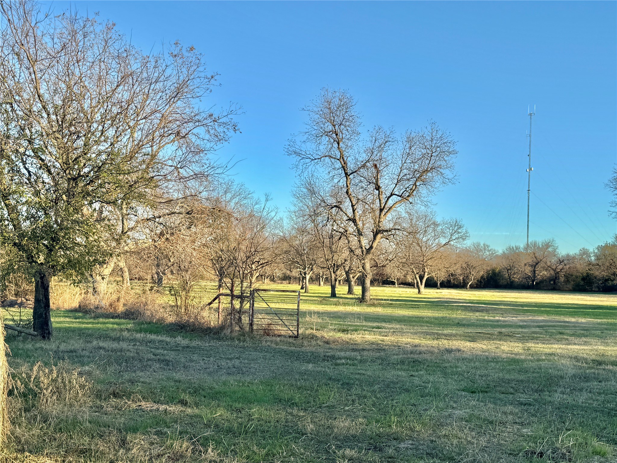 738 Cole Street Gainesville TX 76240