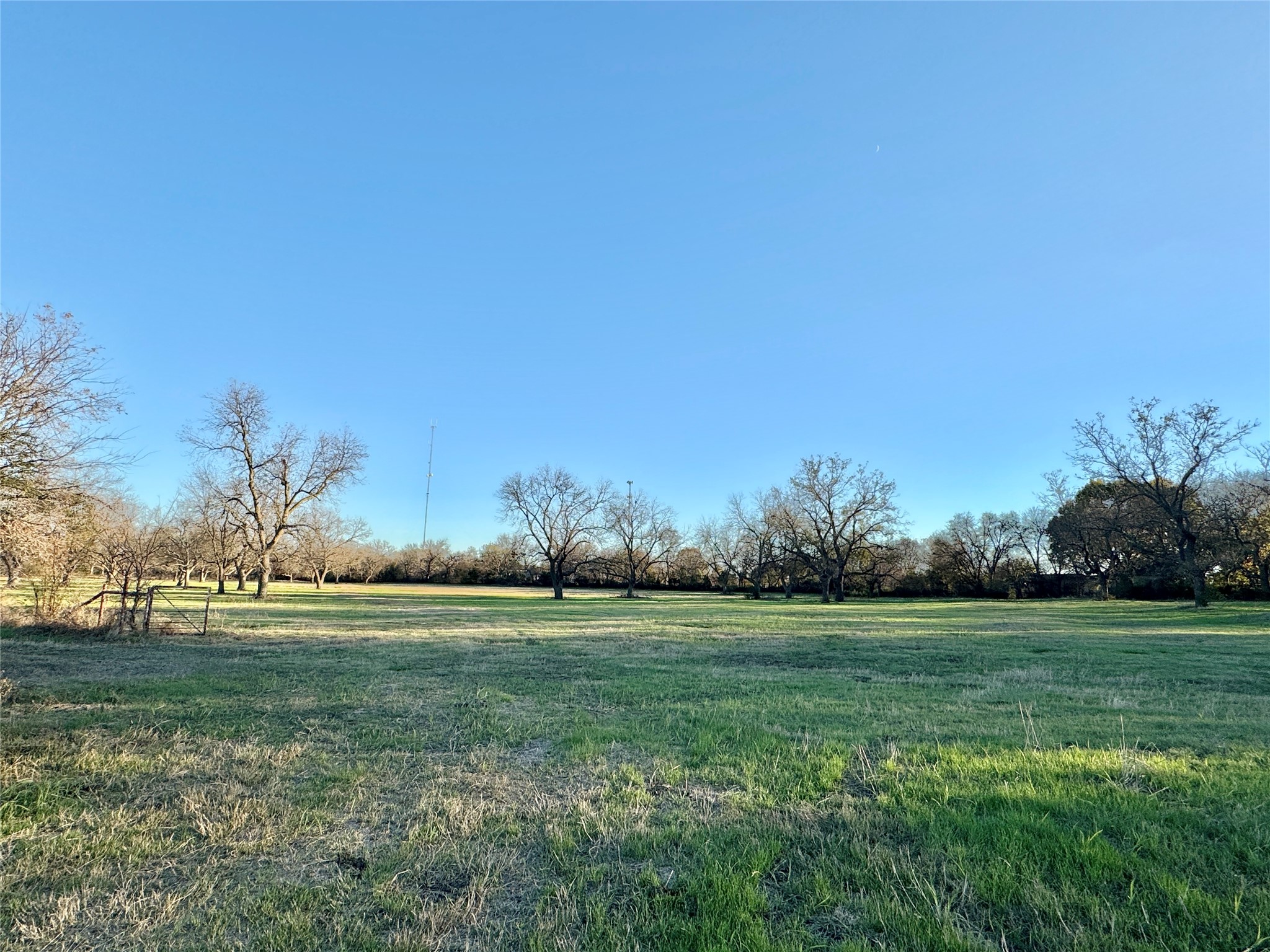 738 Cole Street Gainesville TX 76240