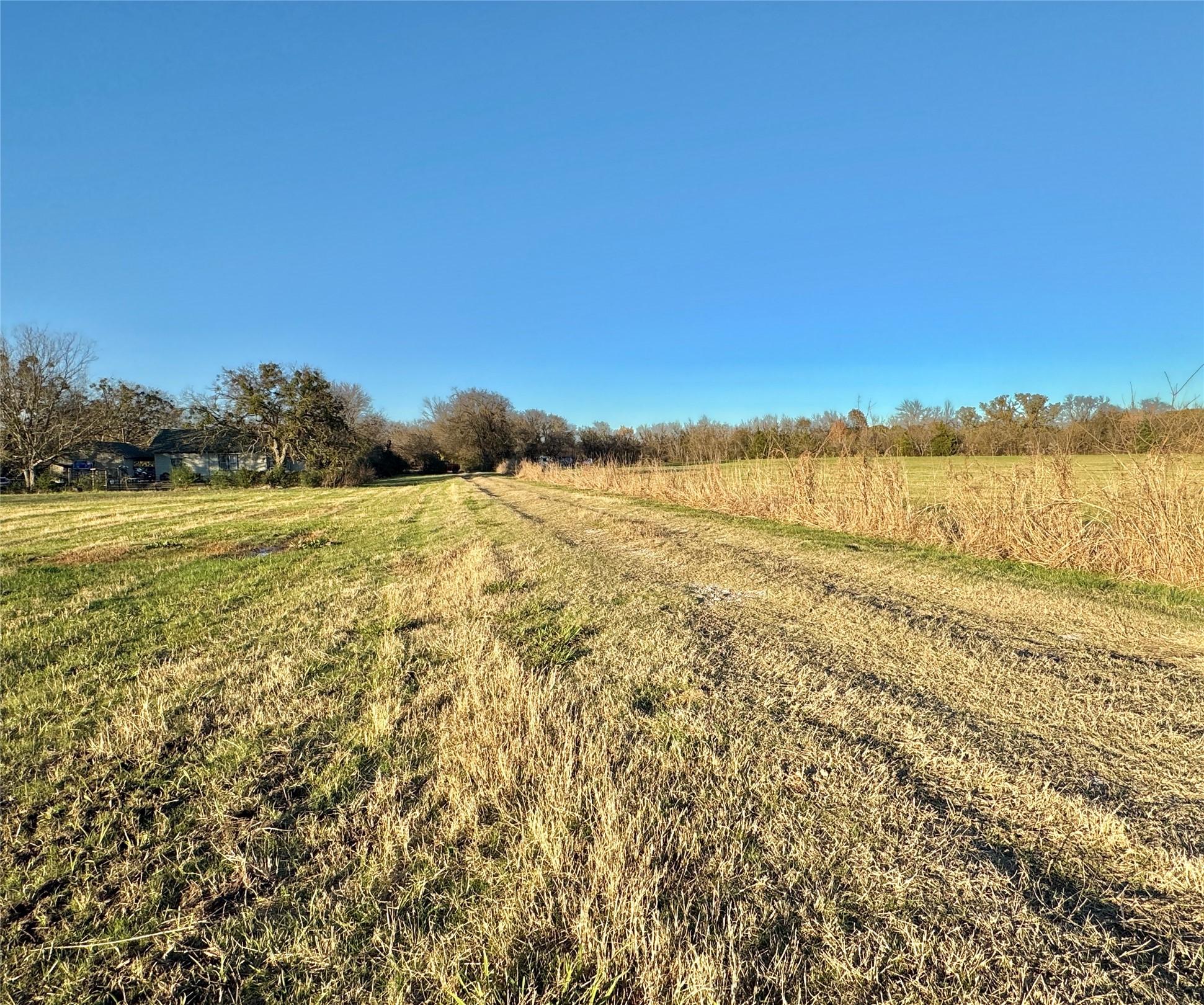 738 Cole Street Gainesville TX 76240