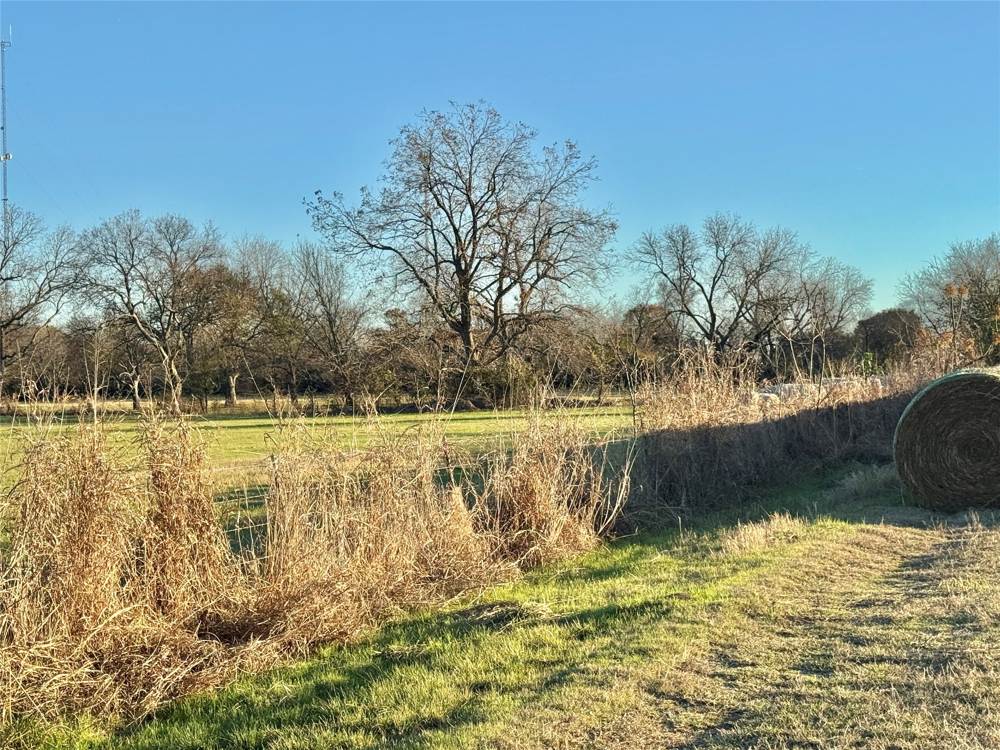 738 Cole Street Gainesville TX 76240