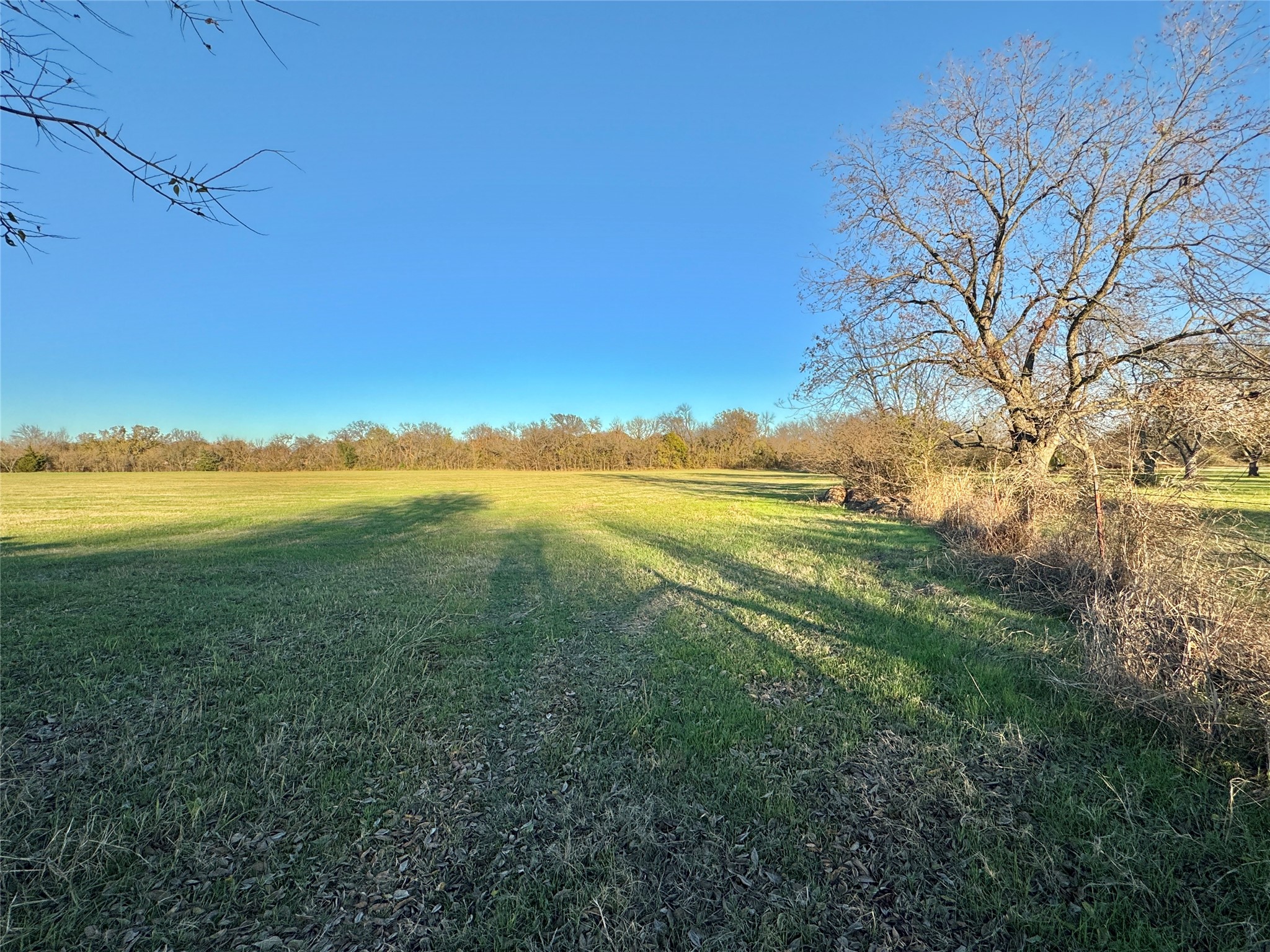 738 Cole Street Gainesville TX 76240