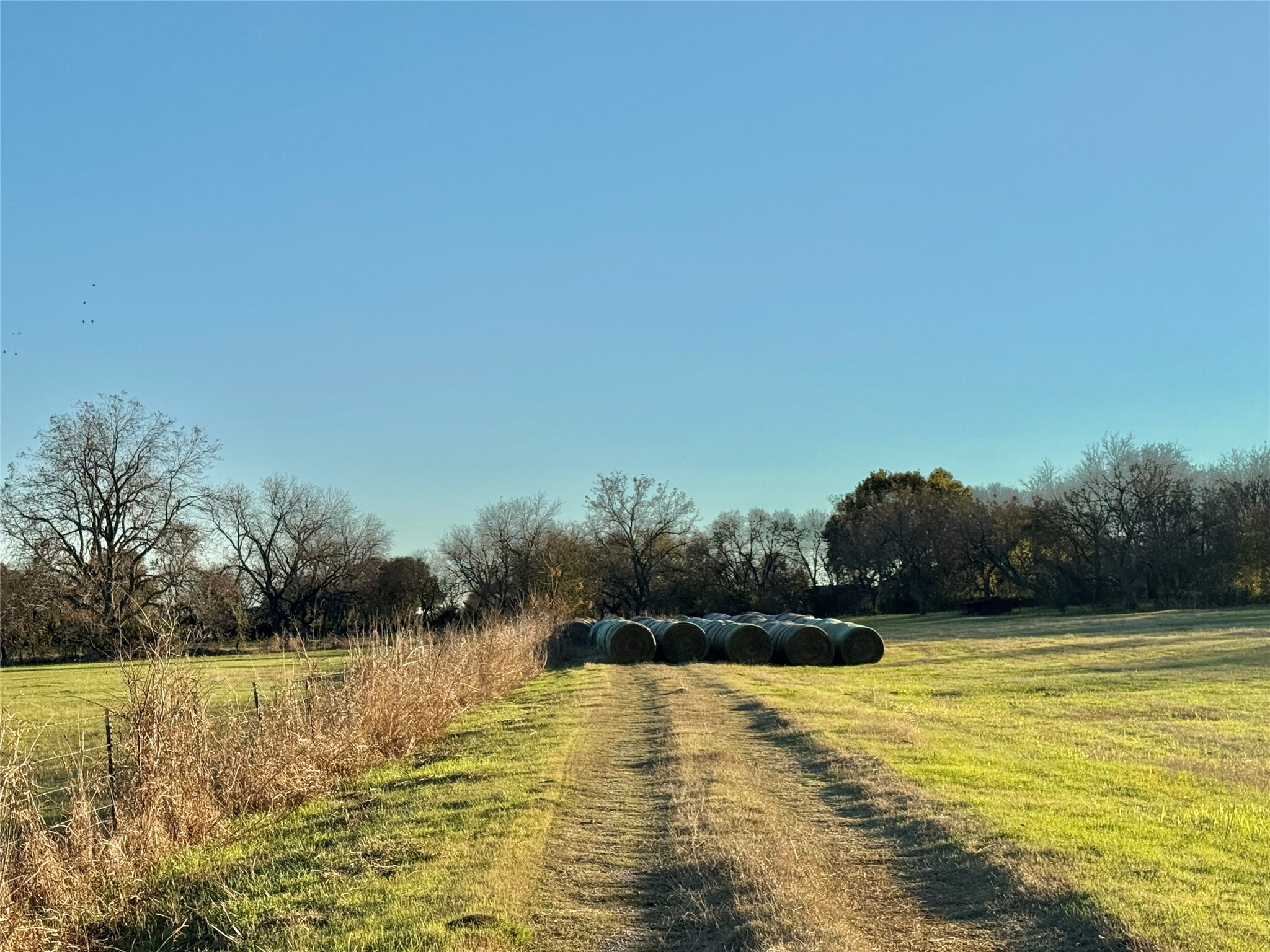 738 Cole Street Gainesville TX 76240