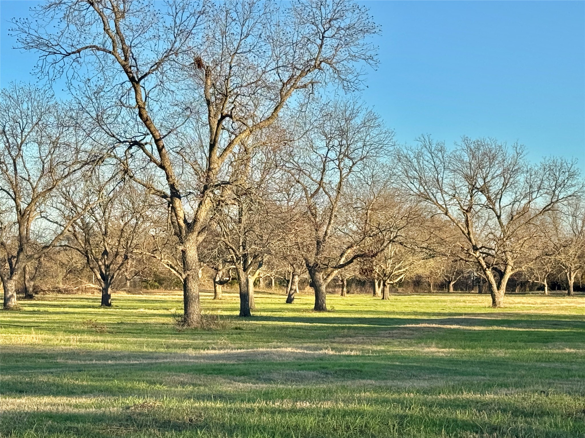 738 Cole Street Gainesville TX 76240