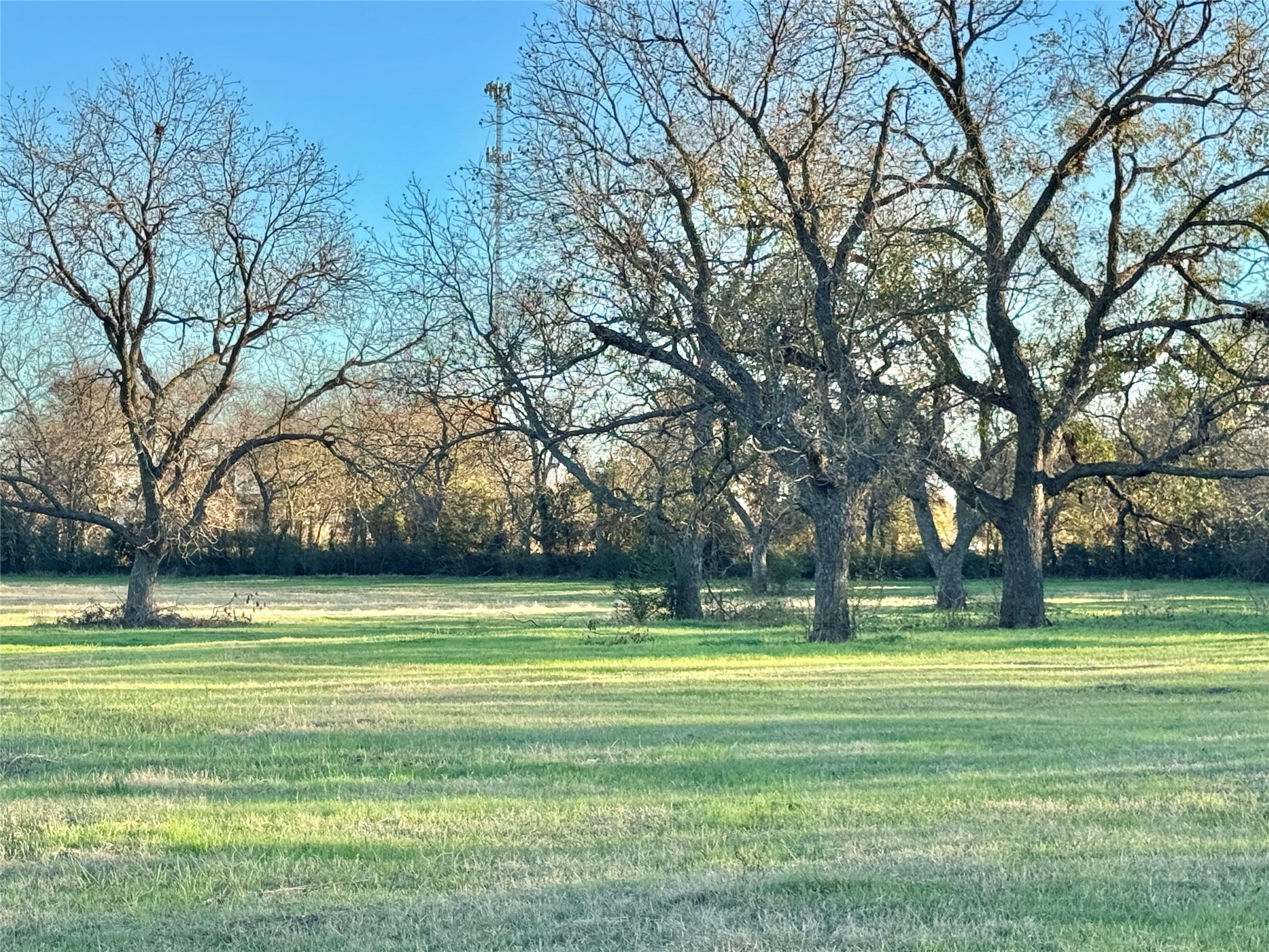 738 Cole Street Gainesville TX 76240