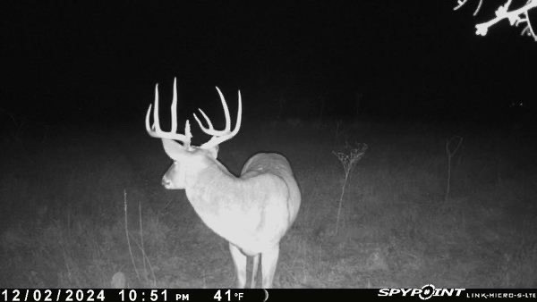 1838 County Road 343 Dublin TX 76446