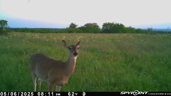 1838 County Road 343 Dublin TX 76446
