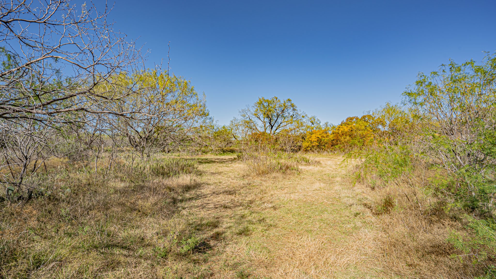 Tbd N Virginia Eastland TX 76448