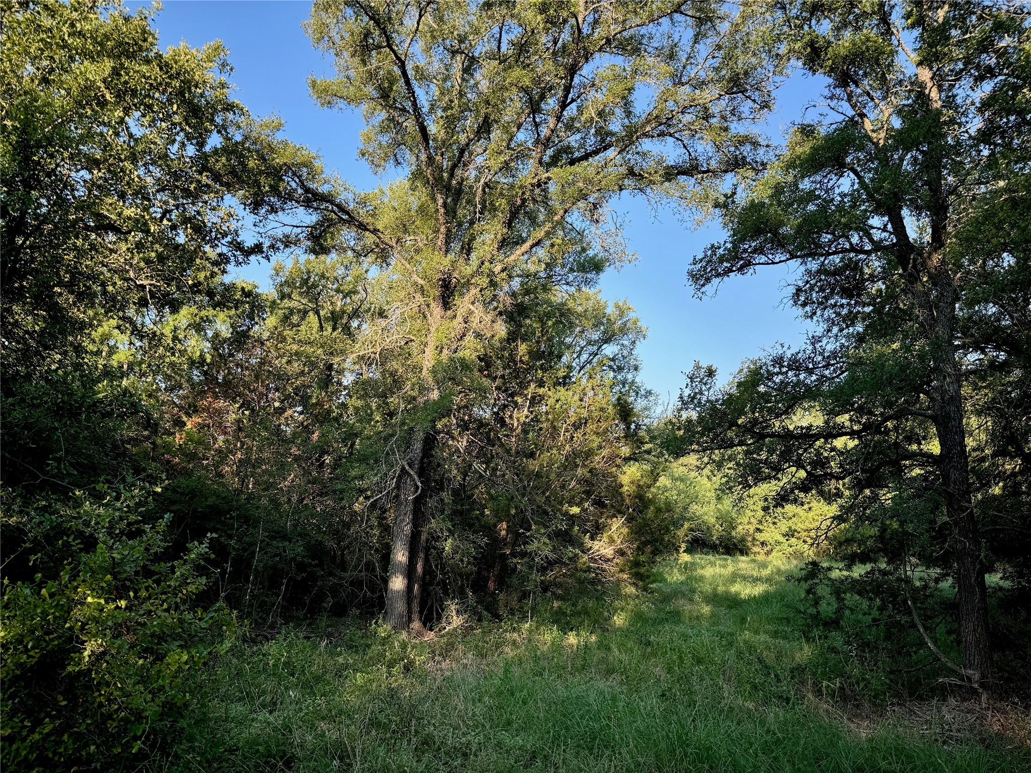 11040 County Road 1117 Cleburne TX 76033