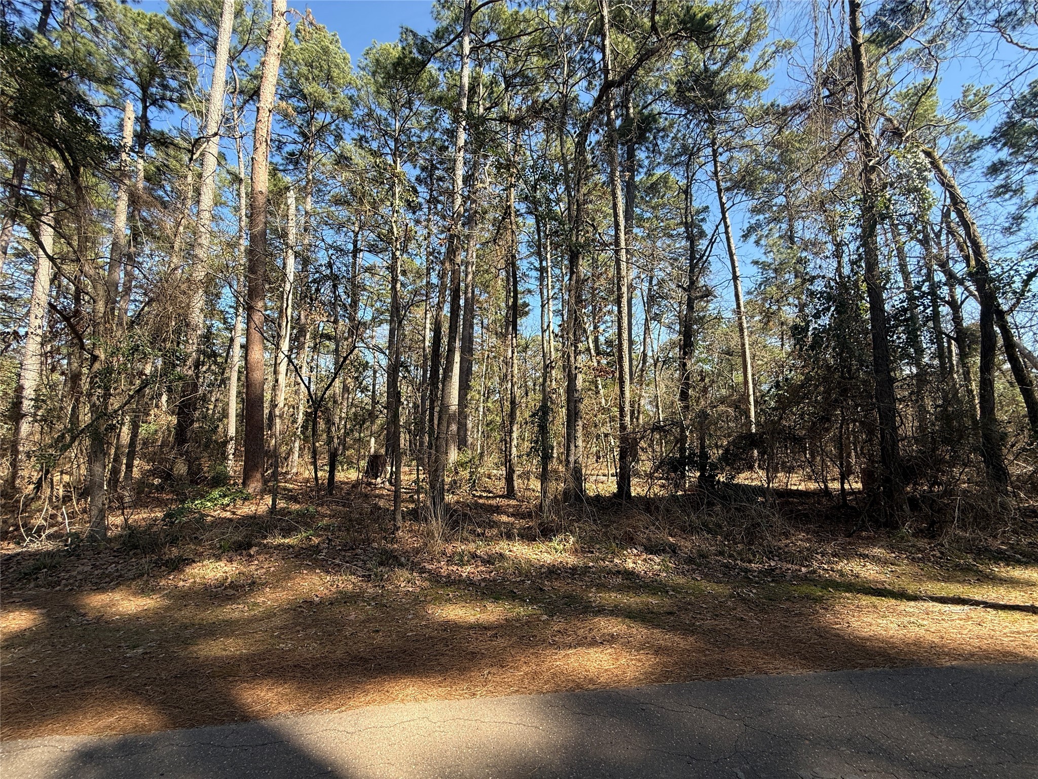 Lot 3 Private Road 8573 Winnsboro TX 75494